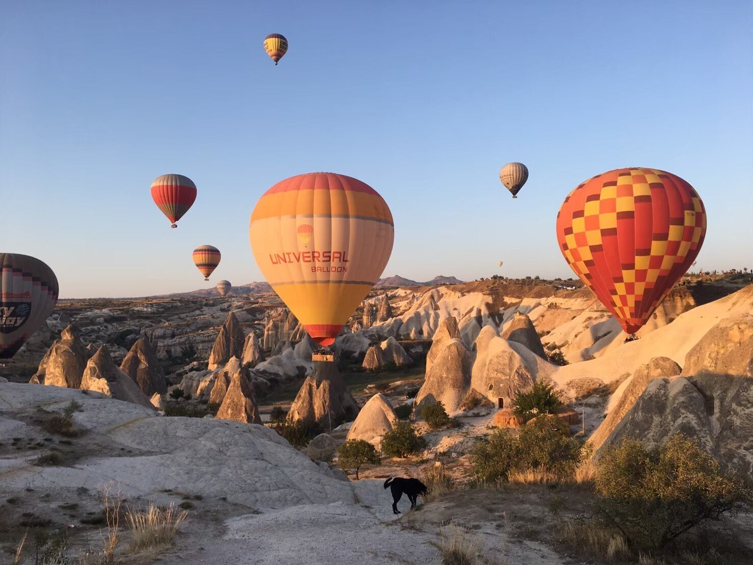撮って笑って旅をして　とったび 写真パネル　トルコ　気球　カッパドキア 撮って笑って旅をして とったび 写真パネル トルコ 気球 カッパドキア