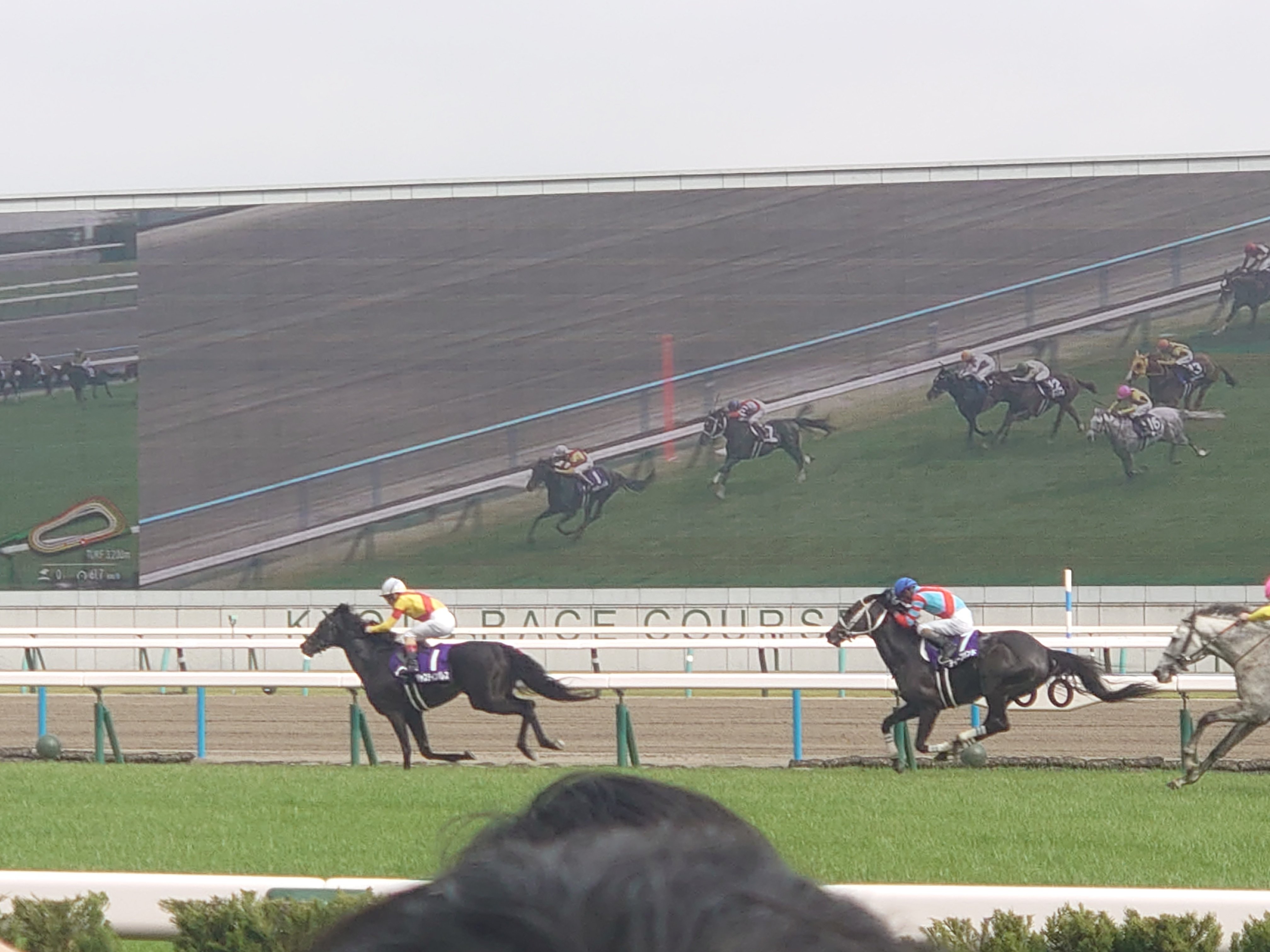 サトノダイヤモンド 新馬戦〜天皇賞・春２歳から４歳国内全１０戦現地単勝馬券セット Yahoo!オークション -「新馬戦」(終了したレースの馬券) (競馬