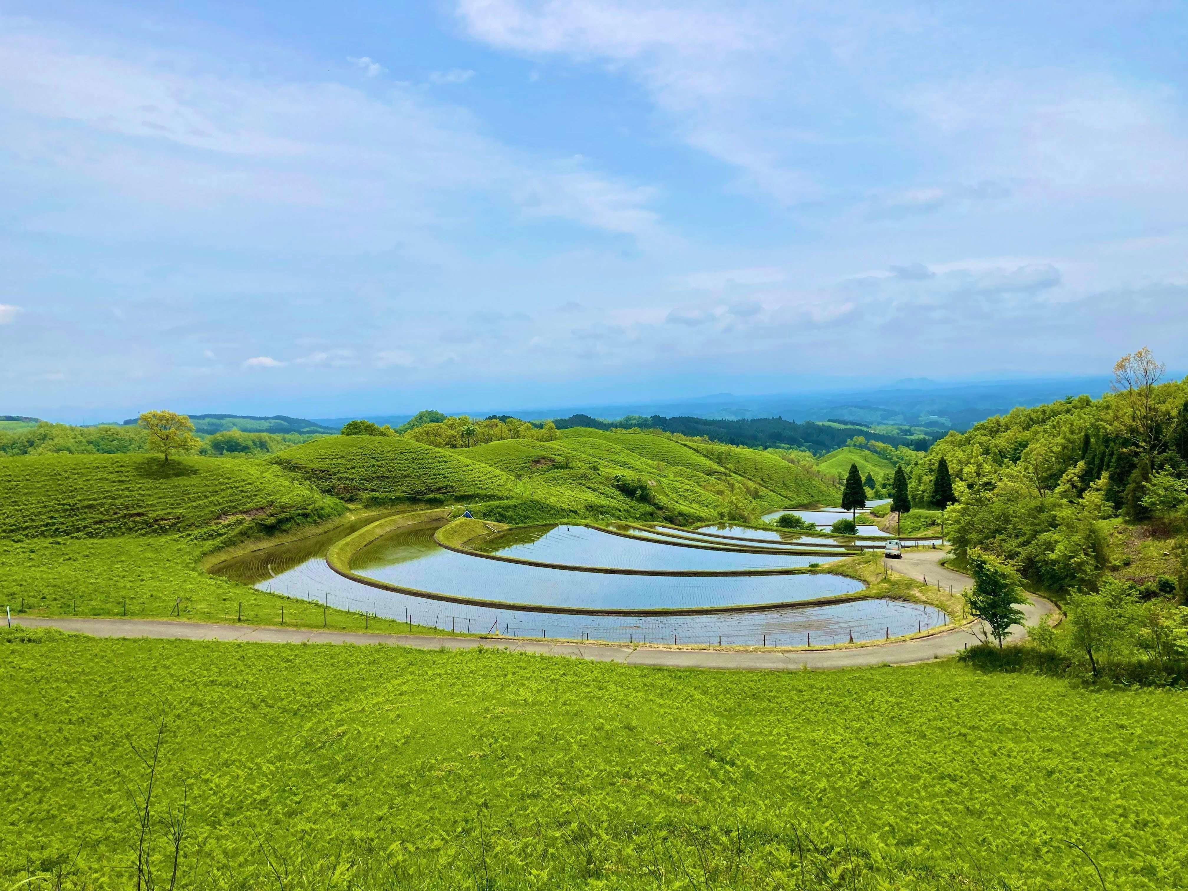 田舎の風景】四季折々の扇棚田｜うぶやま未来ラボ