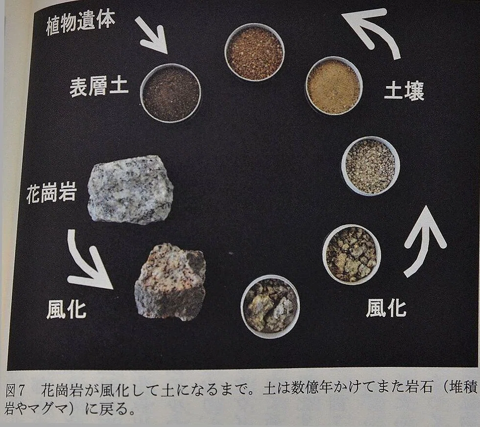 土 地球 最後 の ナゾ