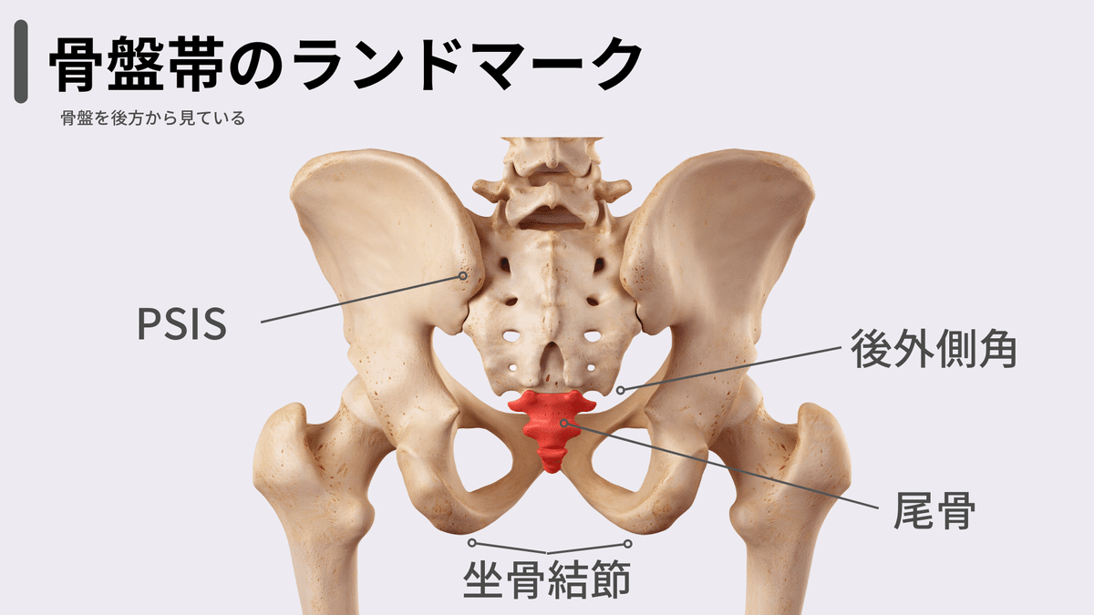 商品詳細ページ | メディカルブックセンター