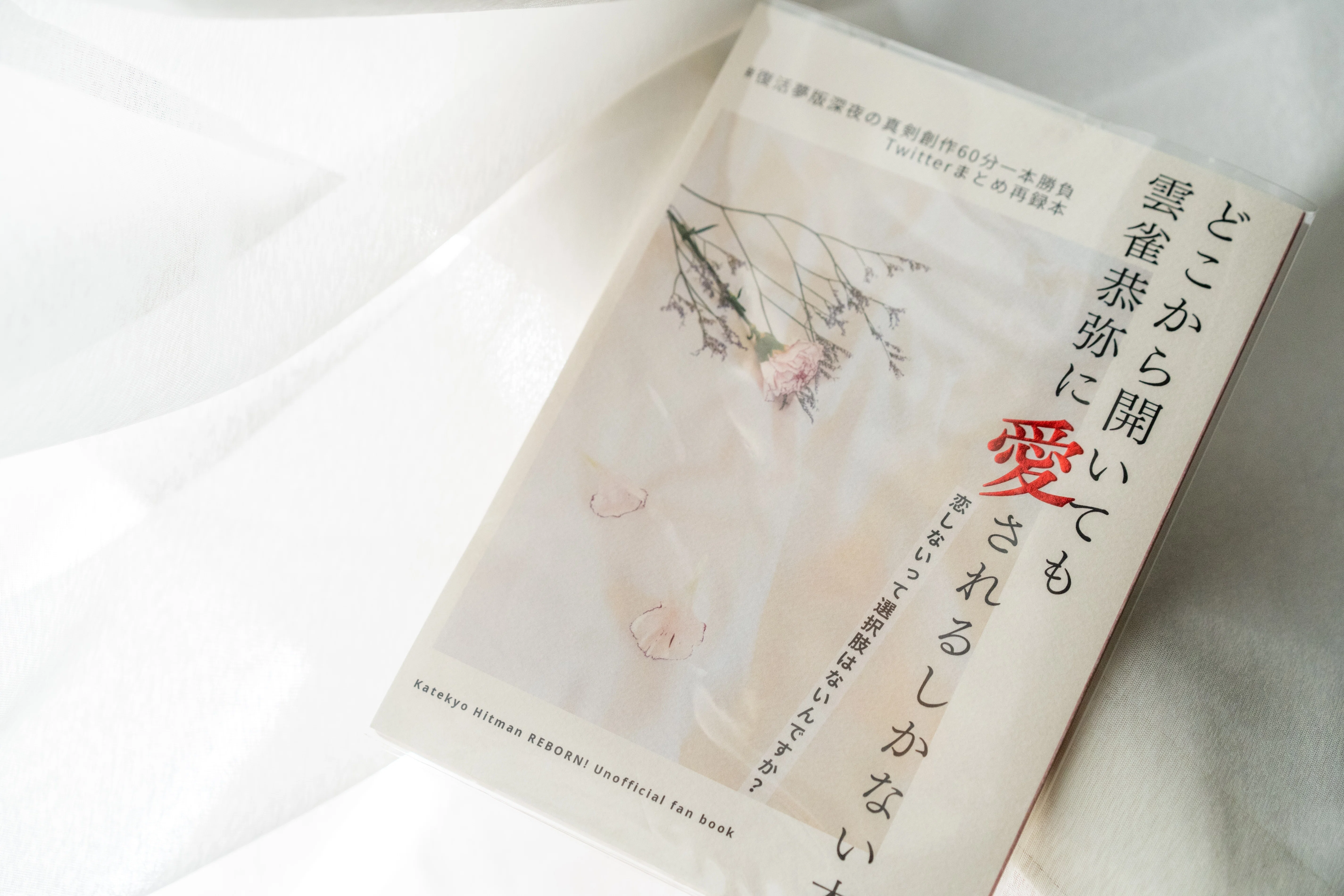 今までやってみた小説同人誌装丁まとめ｜初野