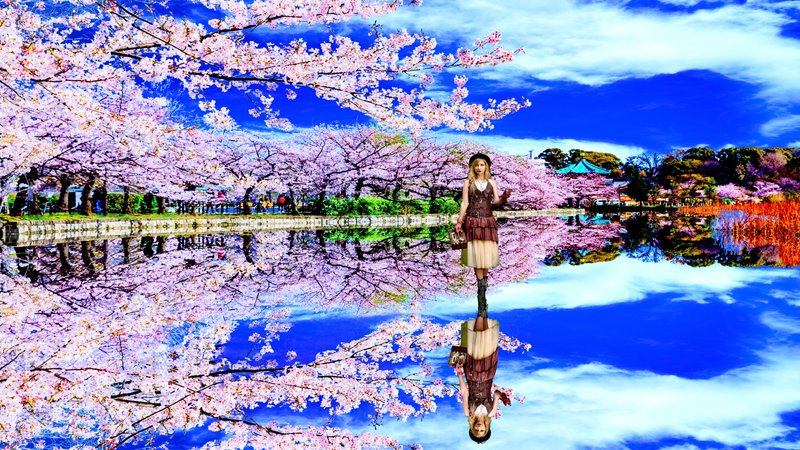 青空の桜