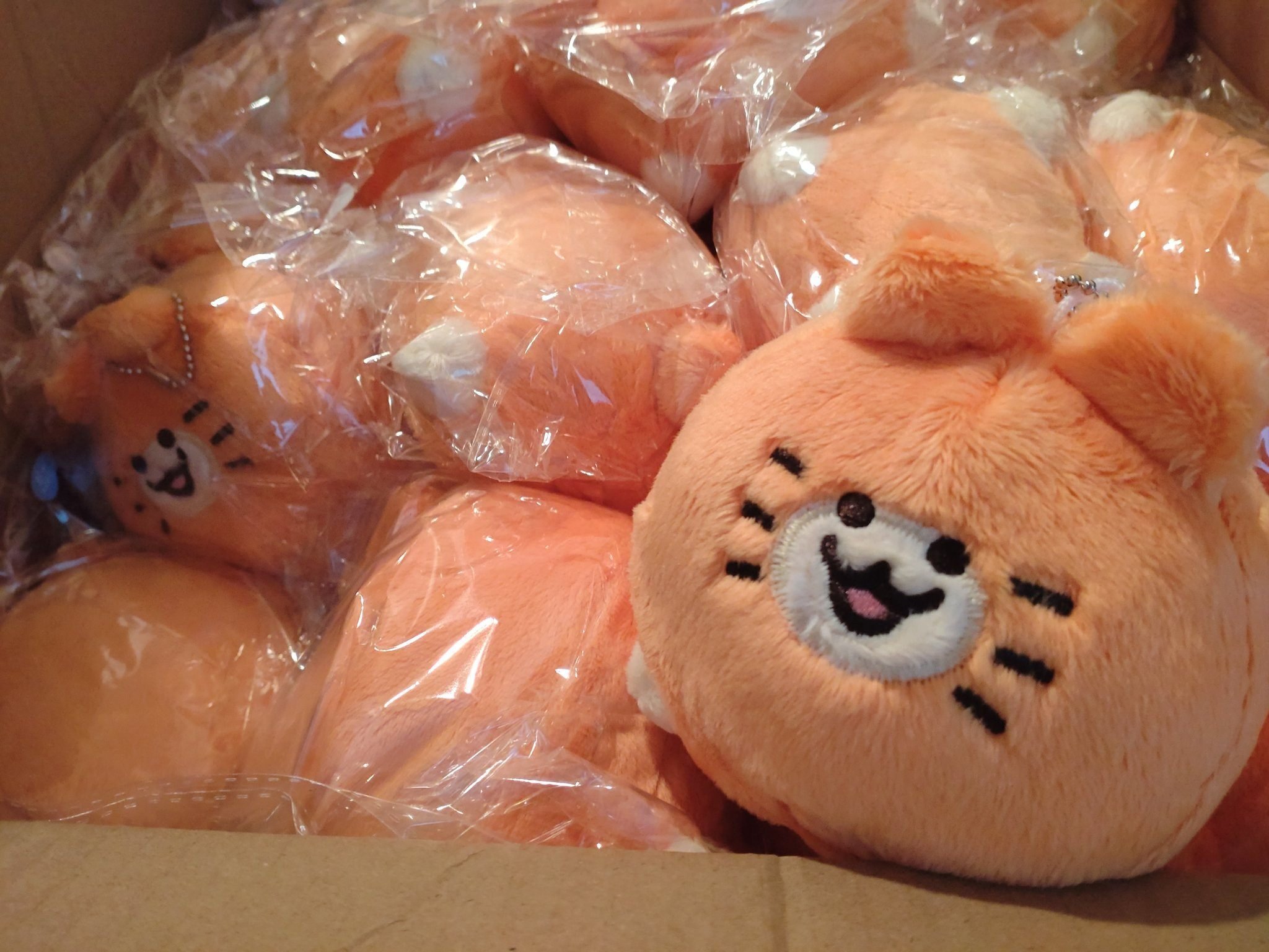 みかんねこぬいぐるみの推しポイントとこだわりについて聞いてほしい