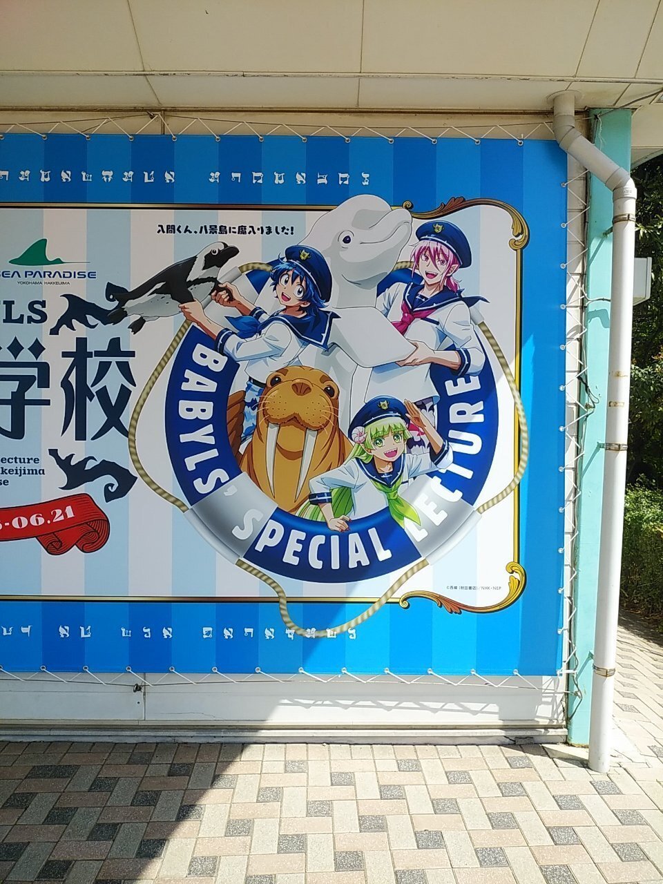 八景島シーパラダイス×魔入りました！入間くん コラボ楽しかっ