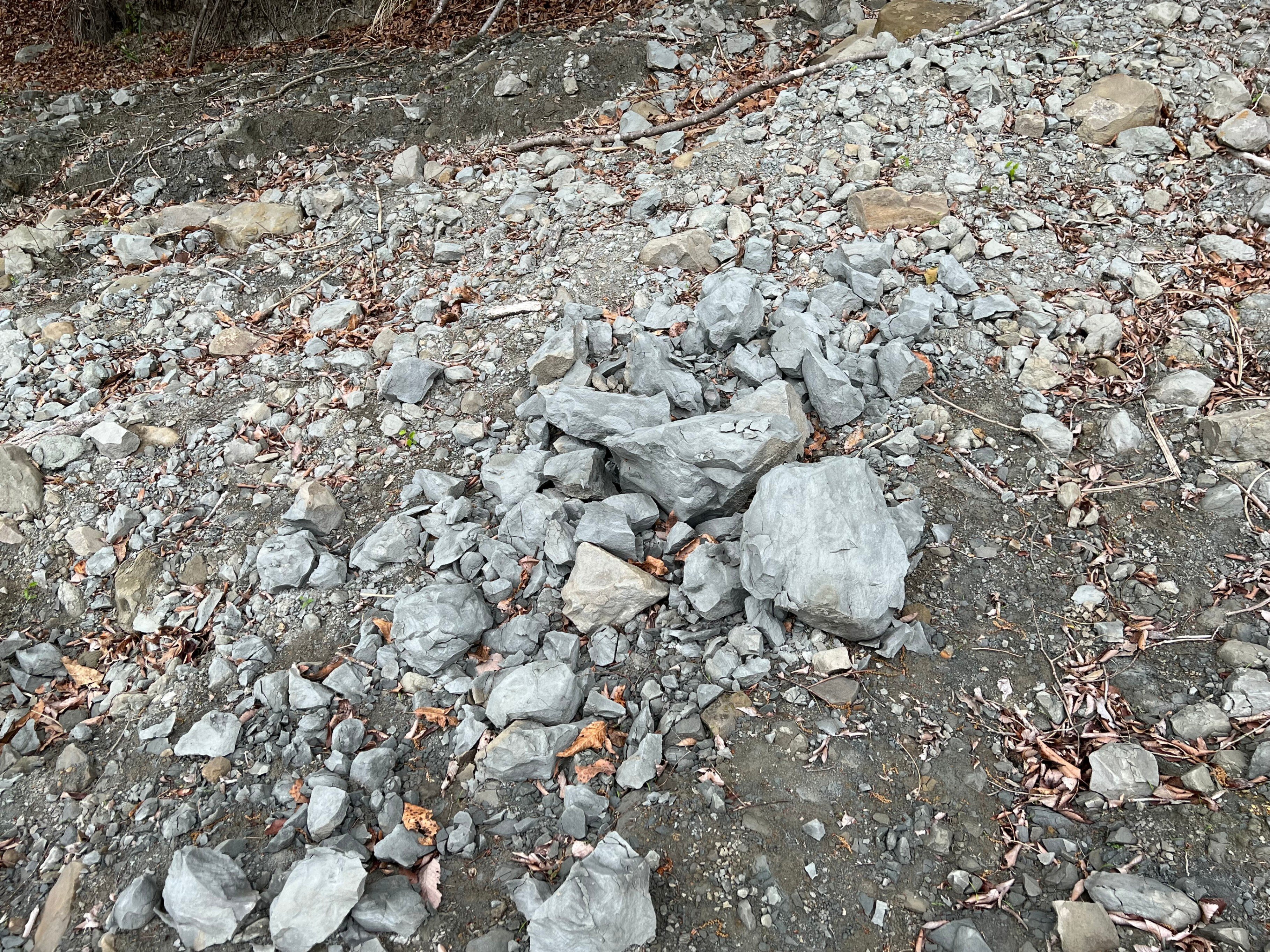 誰でも簡単に！秩父で化石が採れる「ようばけ」｜涌井 元気 (北条まほら)