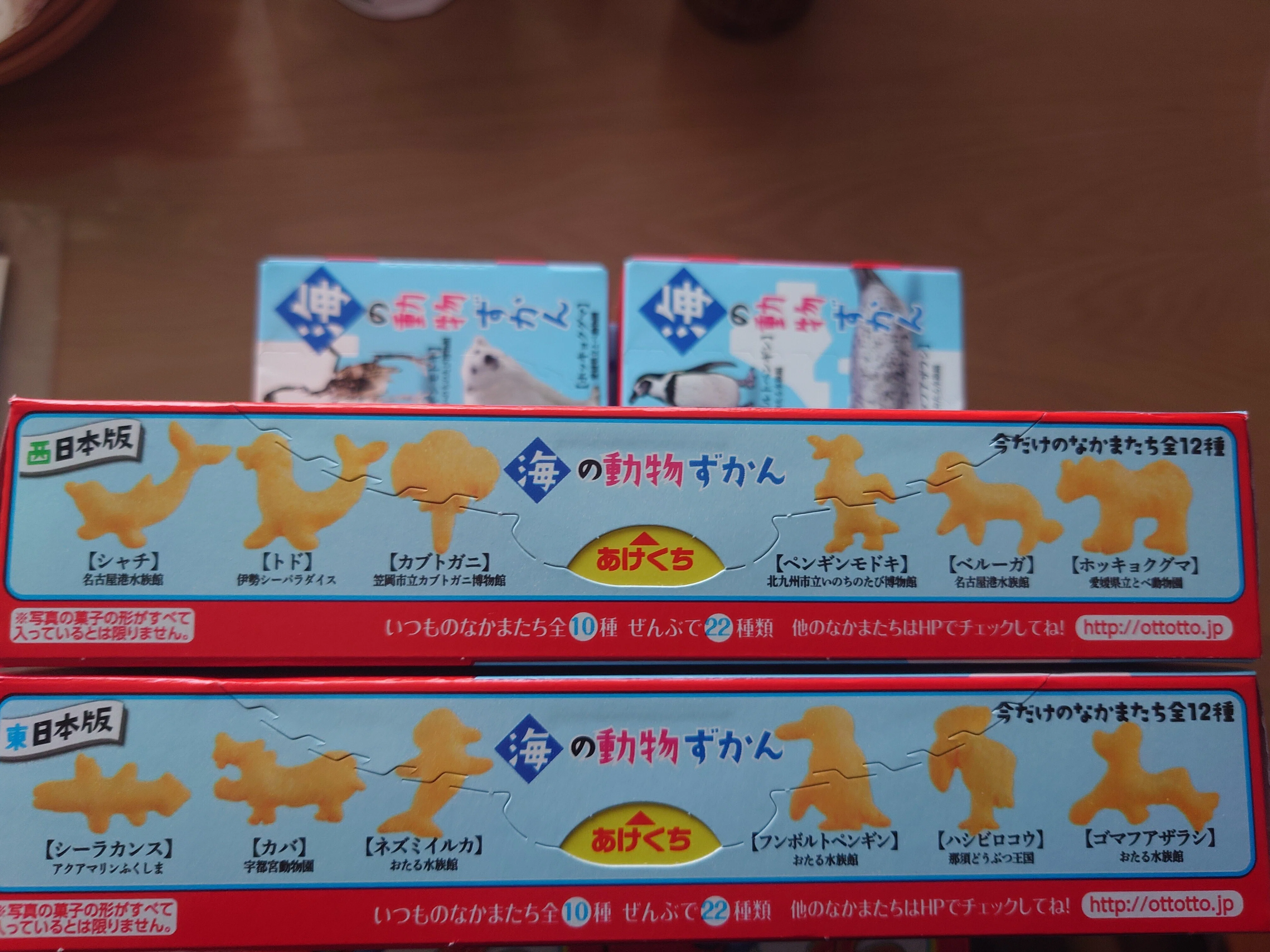 10箱開封】おっとっと解体新書｜かぼちゃ