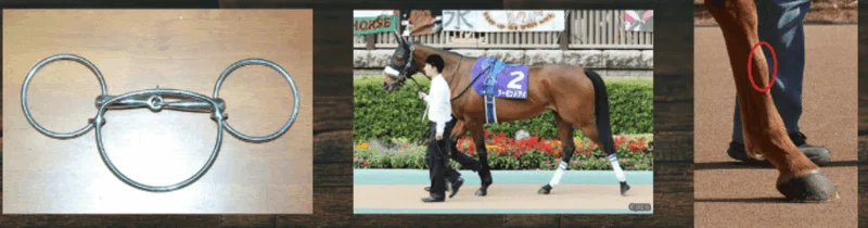 競馬稼業はつらいよ～パドックが教えてくれること⑥～｜JRDB 競馬