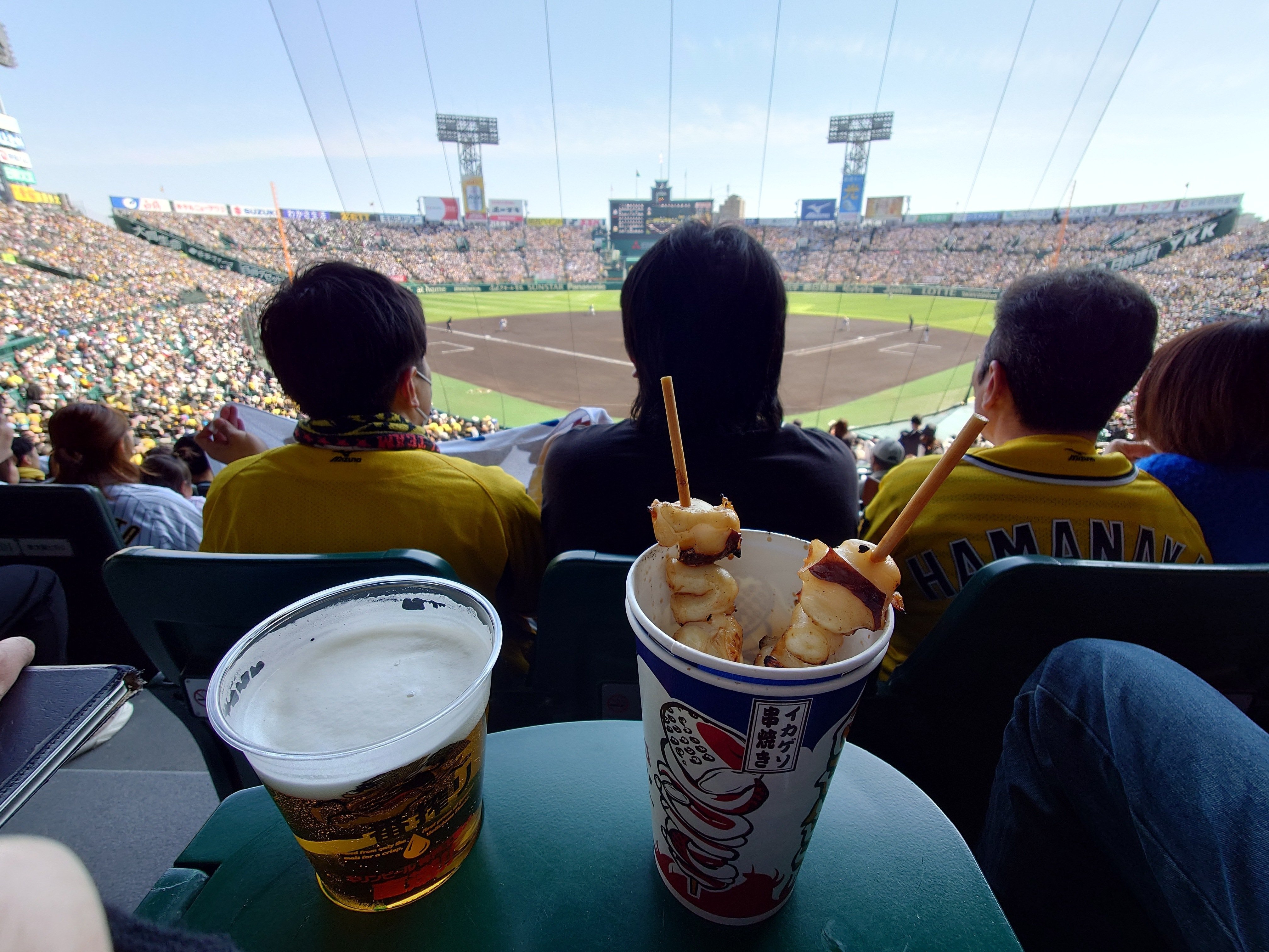 阪神甲子園球場 2023/4/9 阪神 vs ヤクルト グリーンシート下段