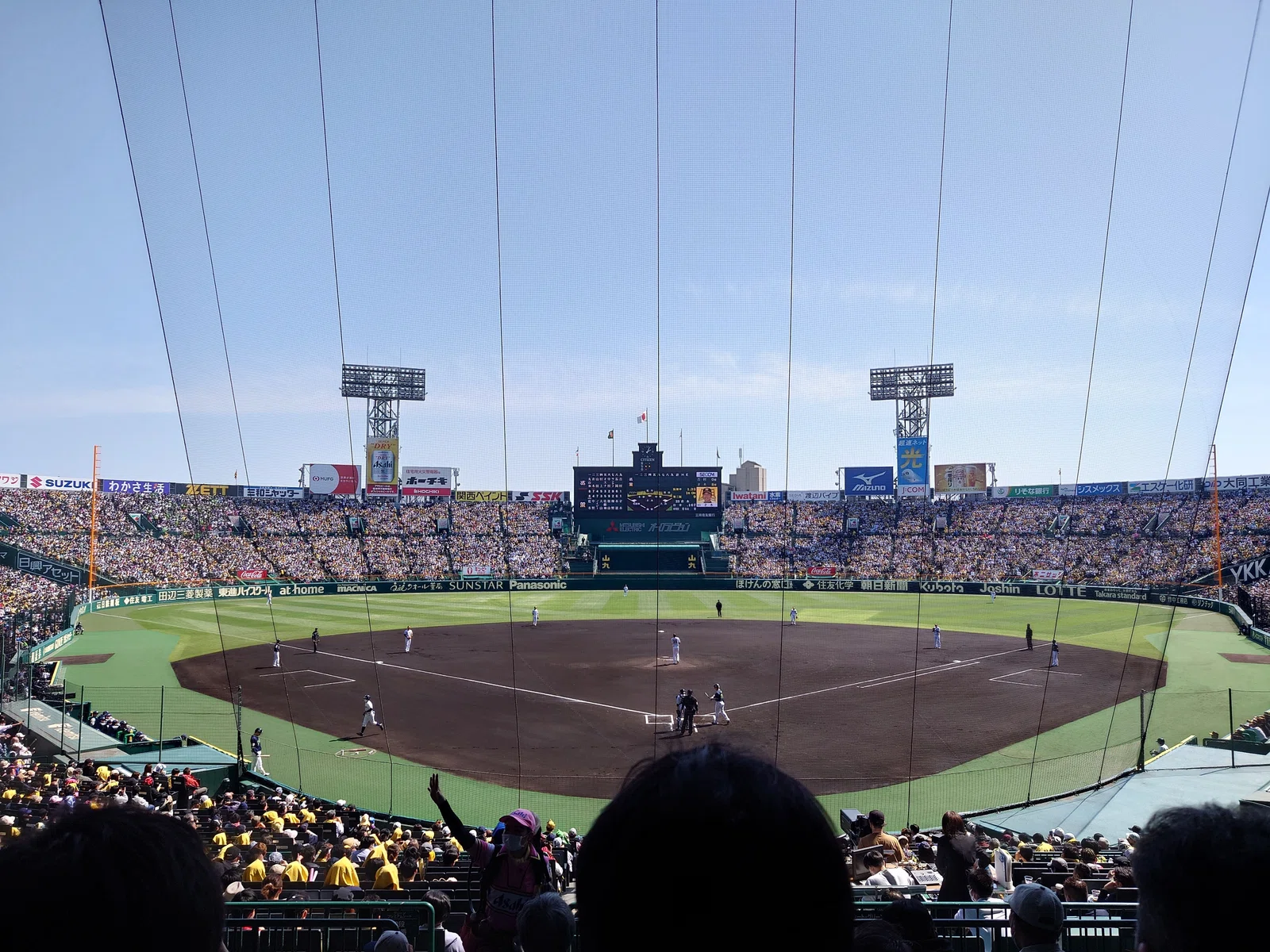 阪神甲子園球場 2023/4/9 阪神 vs ヤクルト グリーンシート下段｜わ 