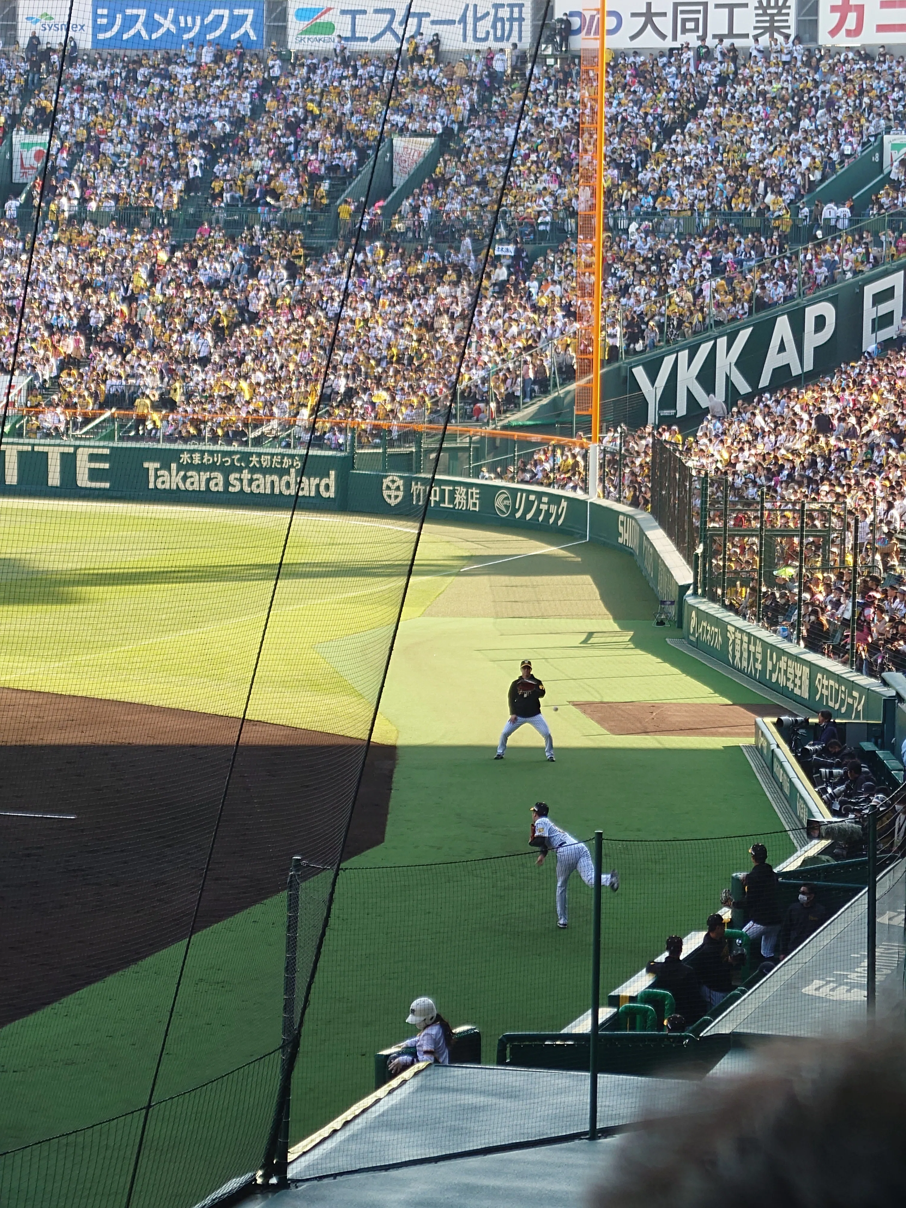 阪神甲子園球場 2023/4/9 阪神 vs ヤクルト グリーンシート下段