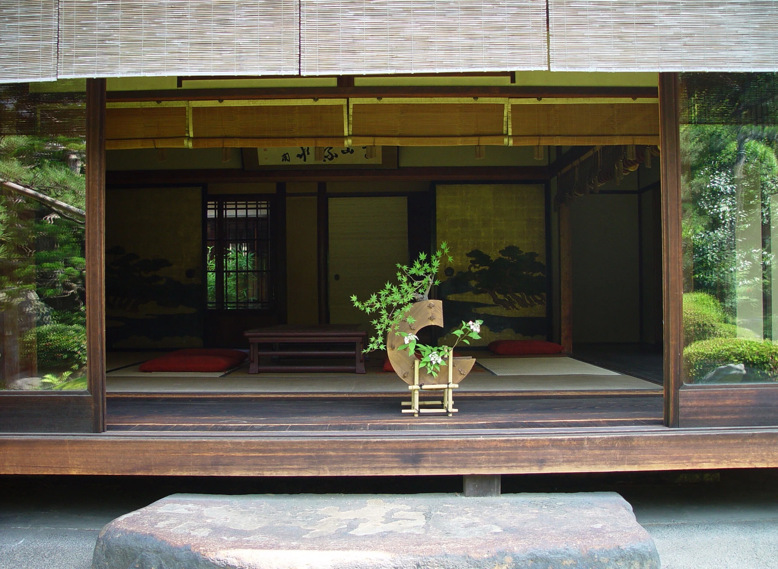 青いもみじはありえない？ 新緑の頃に考える、青楓の‟引き算の美”｜花