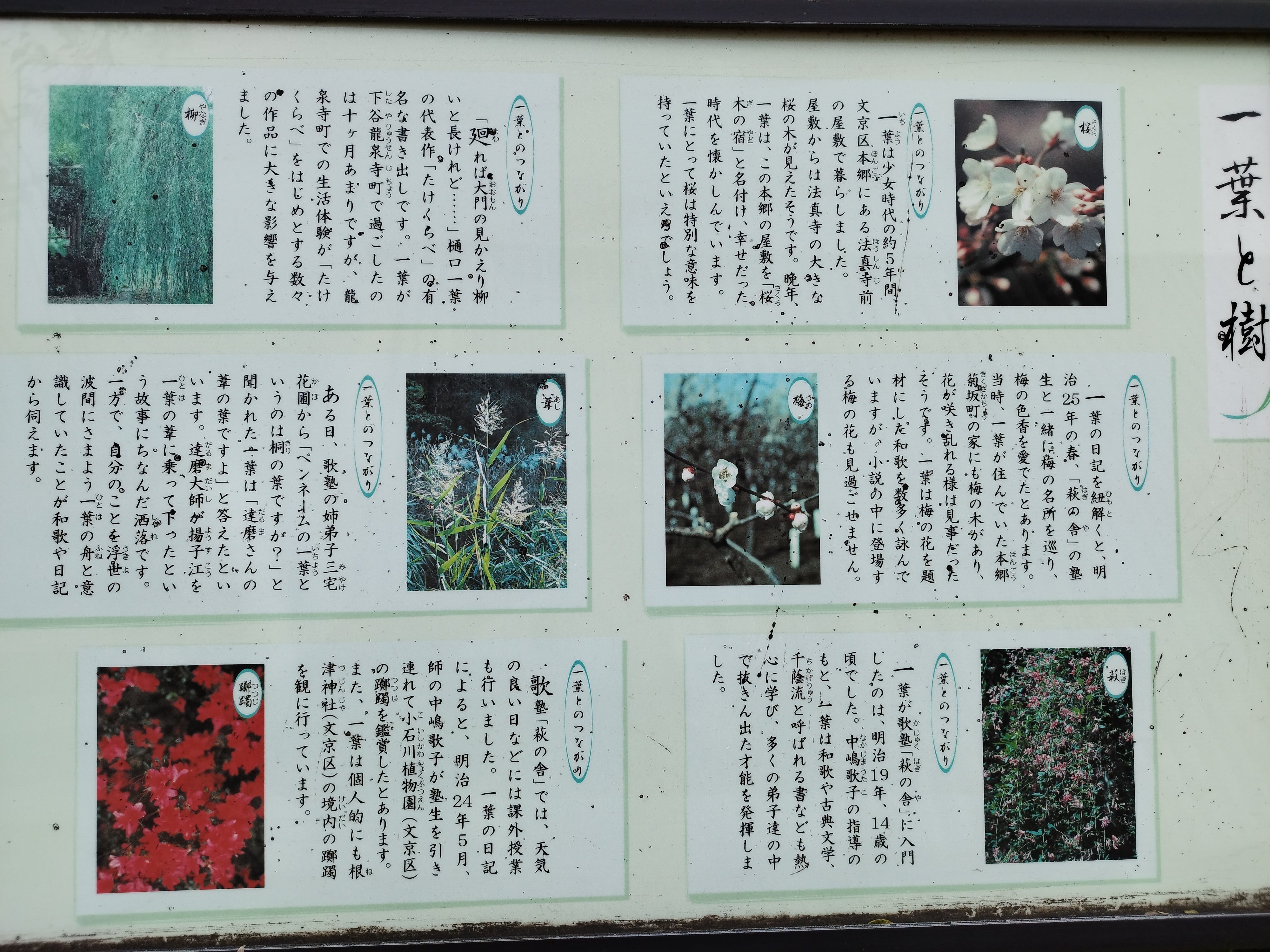 孤独の文学散歩ー樋口一葉記念館と池波正太郎記念文庫ー｜森乃響喜