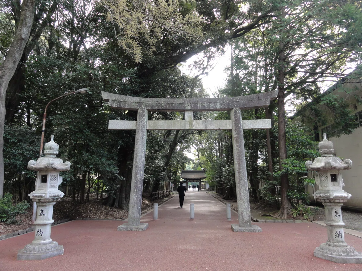 画像