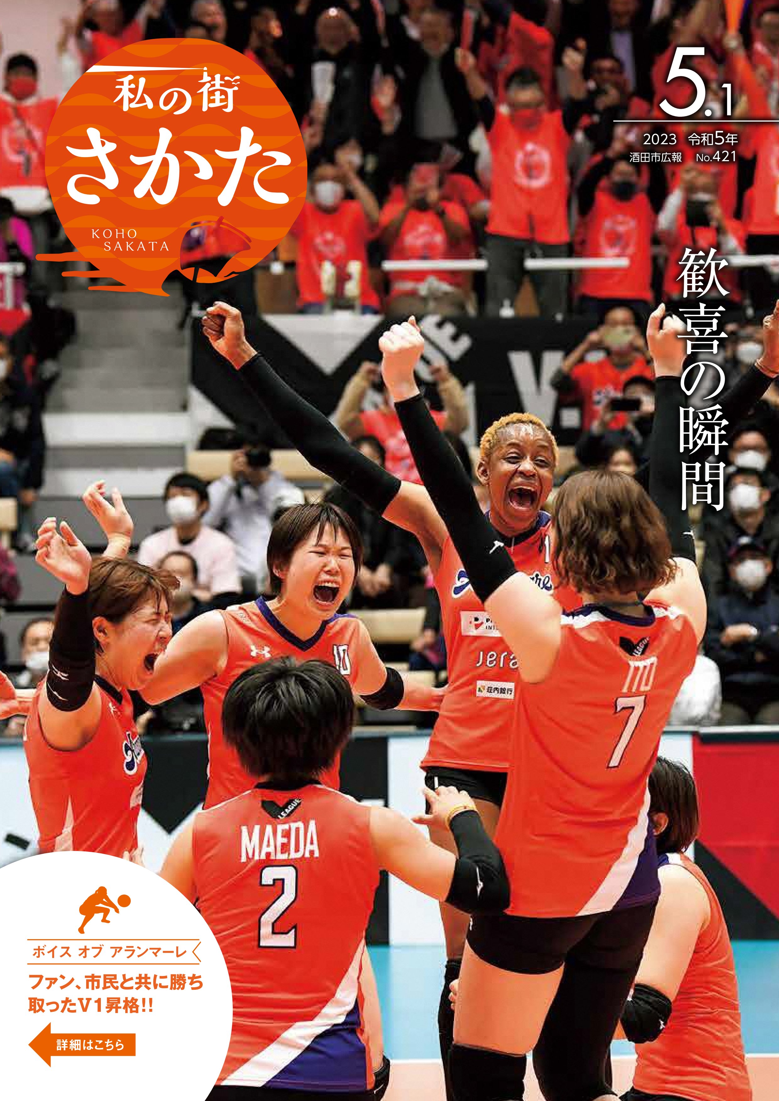 東レアローズゲームパンツ バレー V1 （Vリーグ JTサンダーズ
