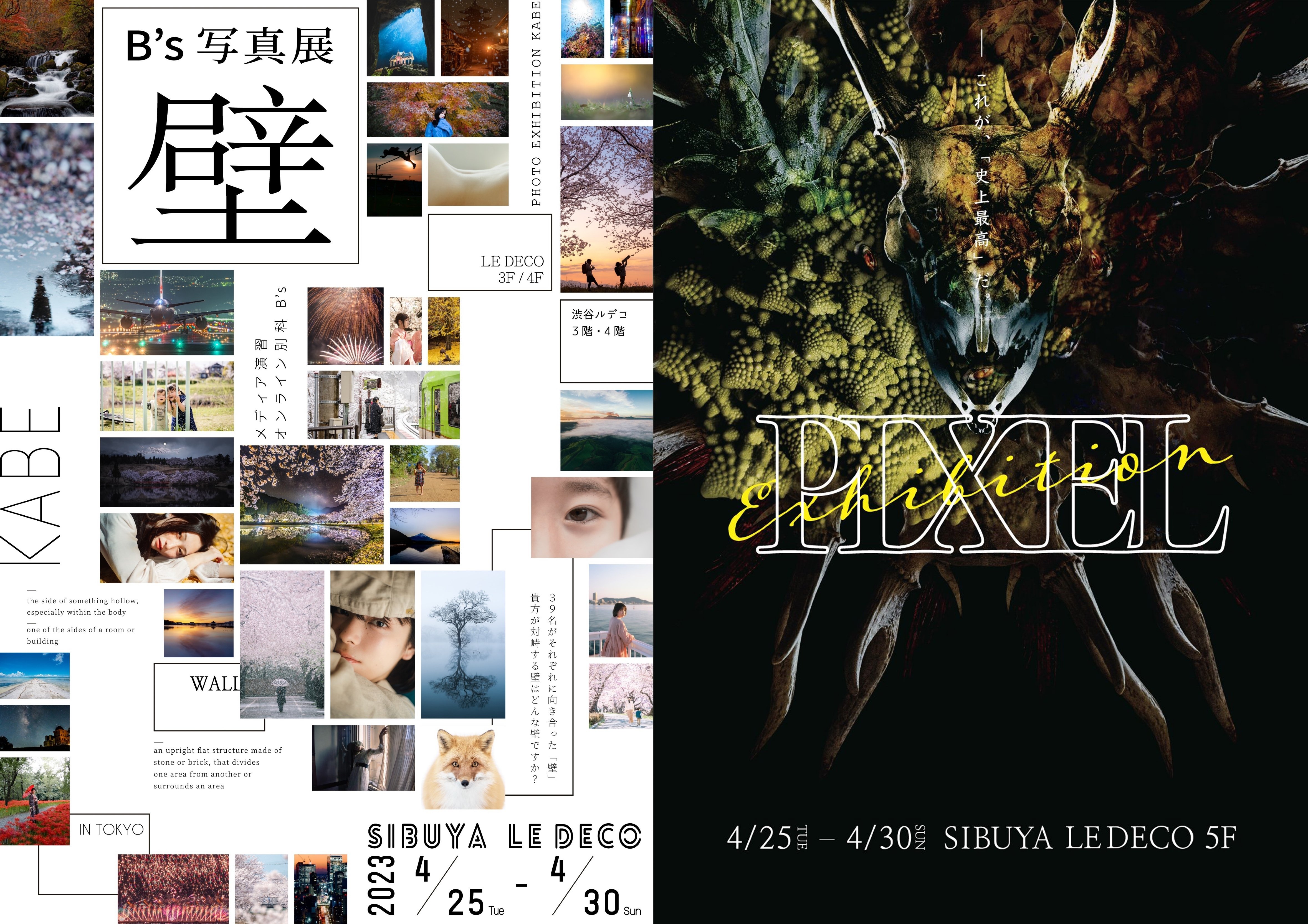 壁とは。｜写真展壁 ・ PIXEL展を終えて｜mitani kazariya