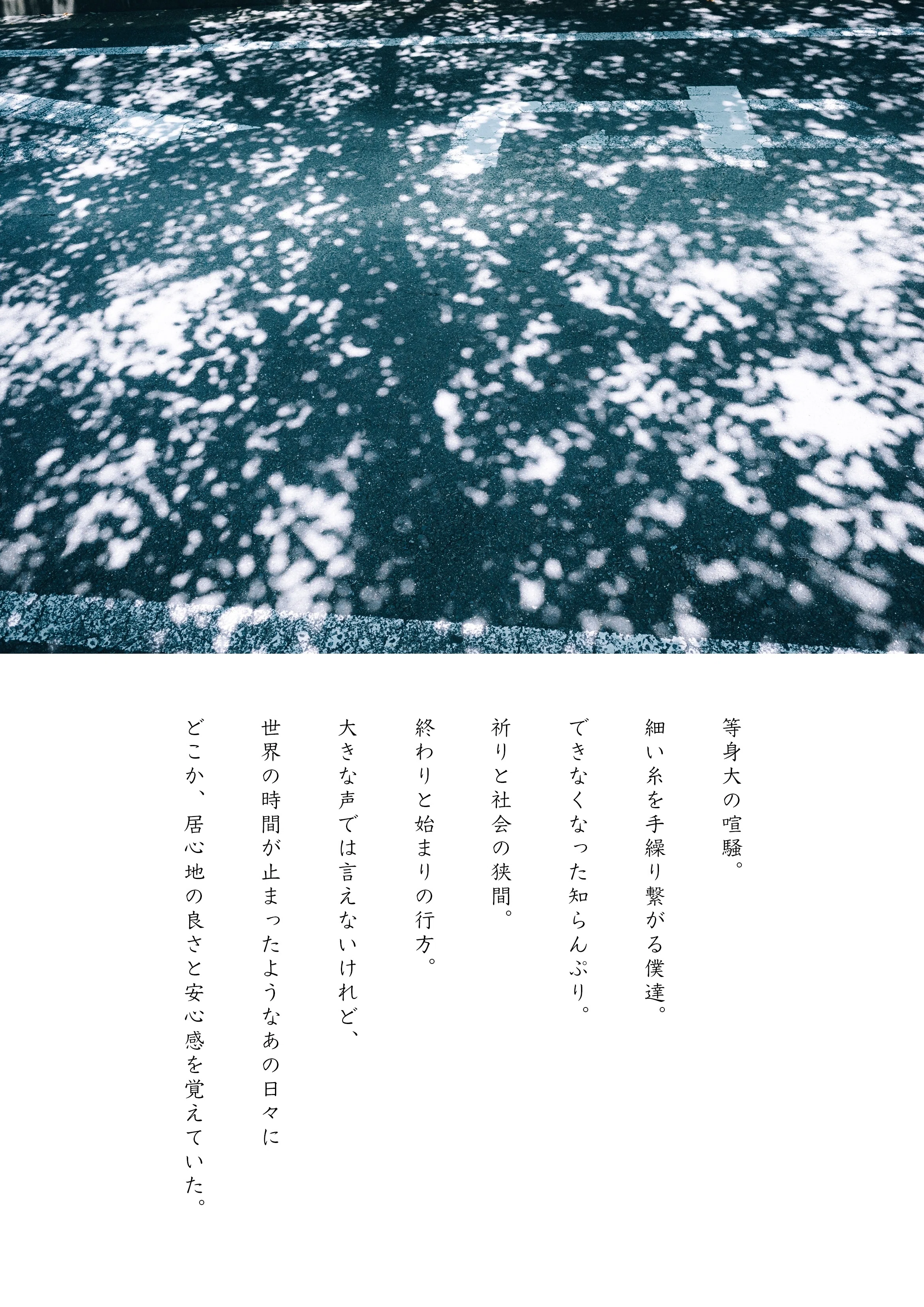 壁とは。｜写真展壁 ・ PIXEL展を終えて｜mitani kazariya