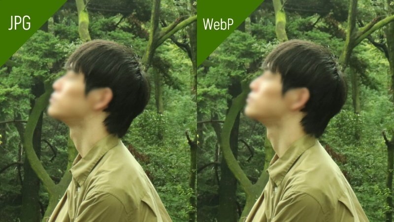 JPGとWebPの比較(ごちゃごちゃした画像)