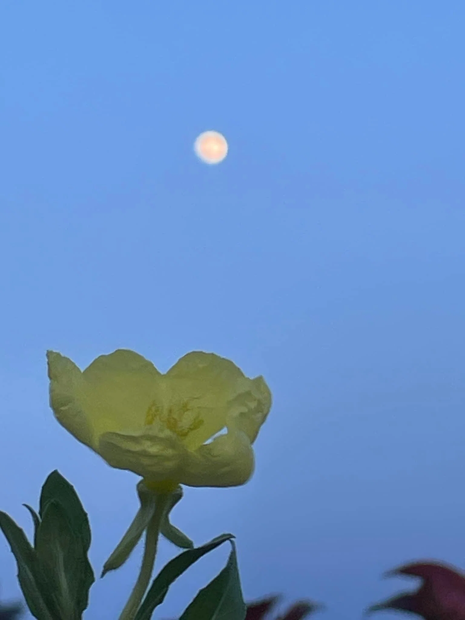 TIMES】2023年5月6日 2時34分 弥生 満月 3rd Full Moon 半影月食｜地球
