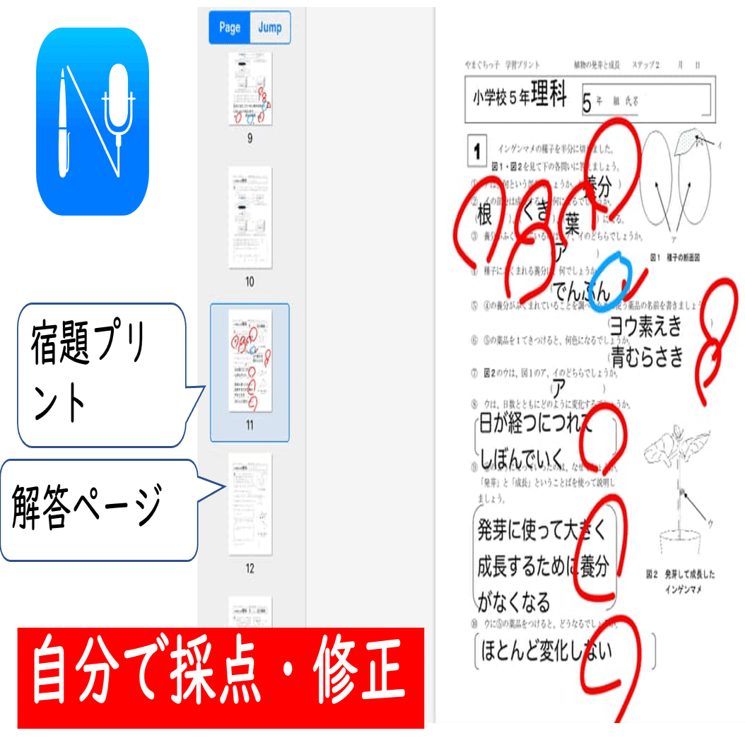 ツール紹介25「やまぐちっこ学習プリント」｜井上賞子