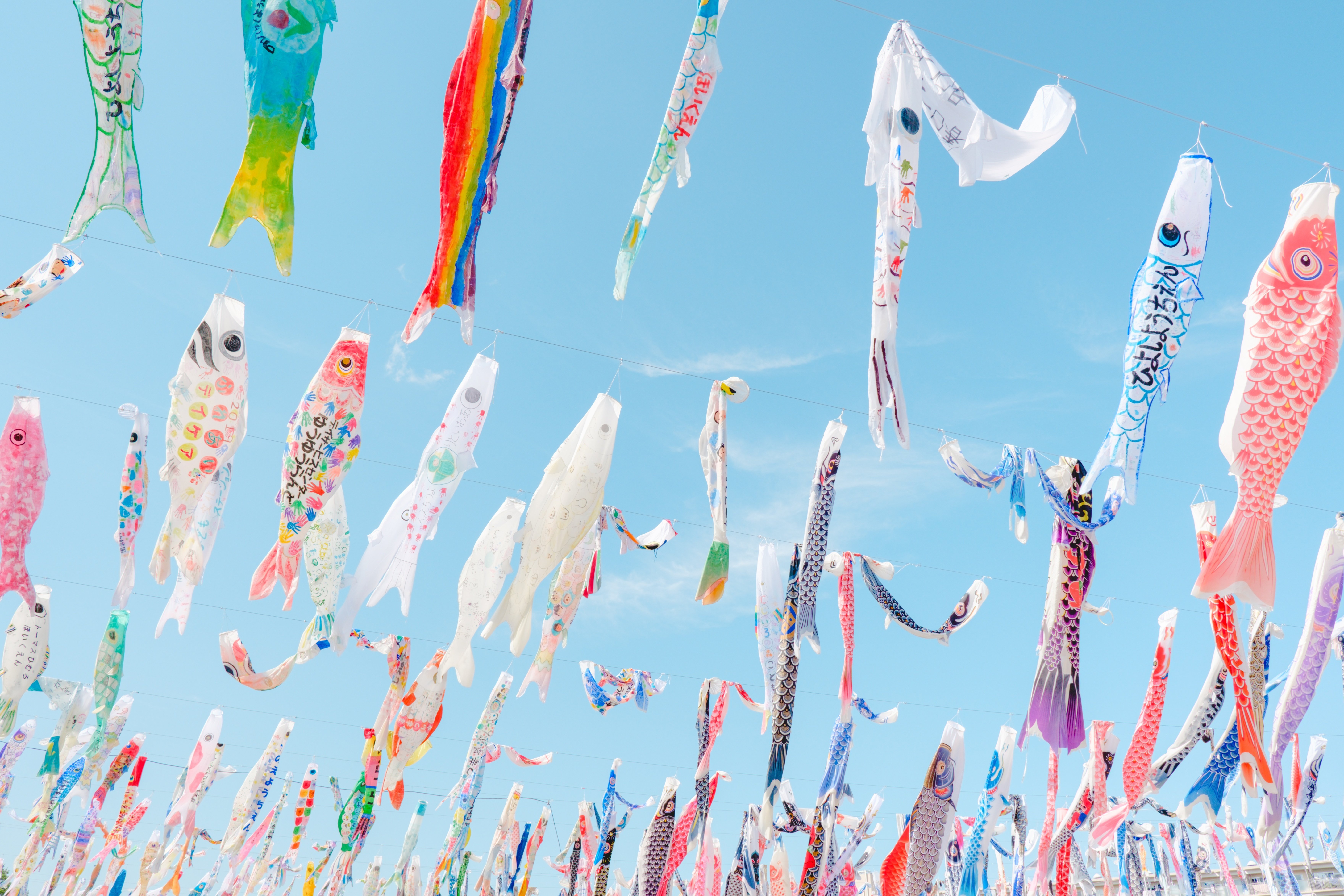 大阪かわいいめぐり#6 こいのぼりフェスタ1000｜Yuri