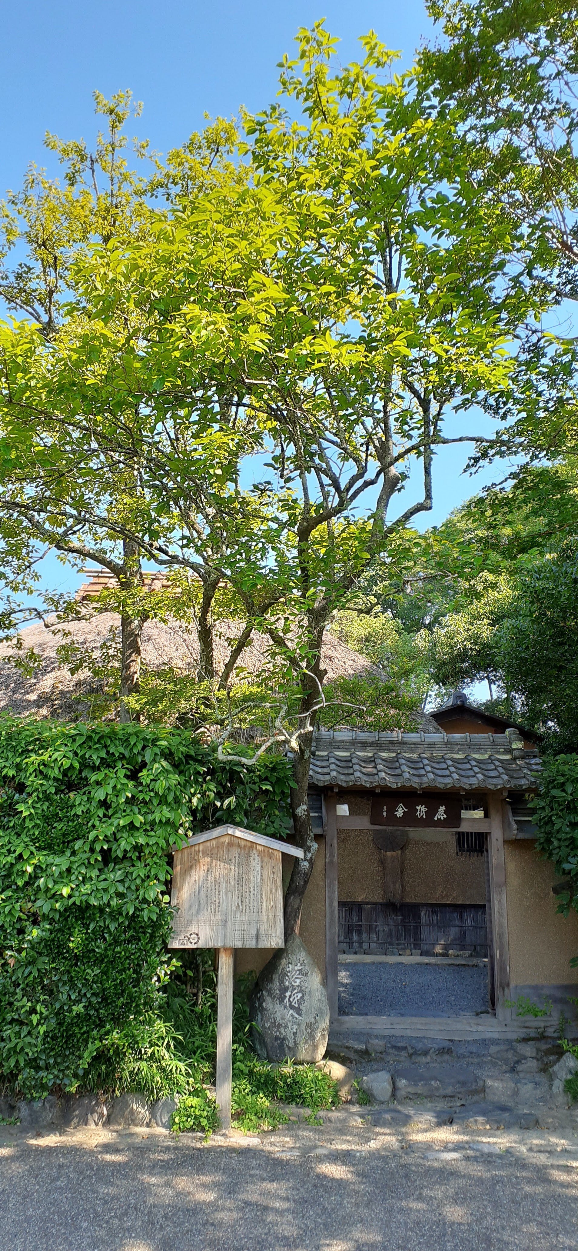 芭蕉ゆかりの嵯峨野落柿舎と自由律俳句の荻原井泉水｜偉人たちの