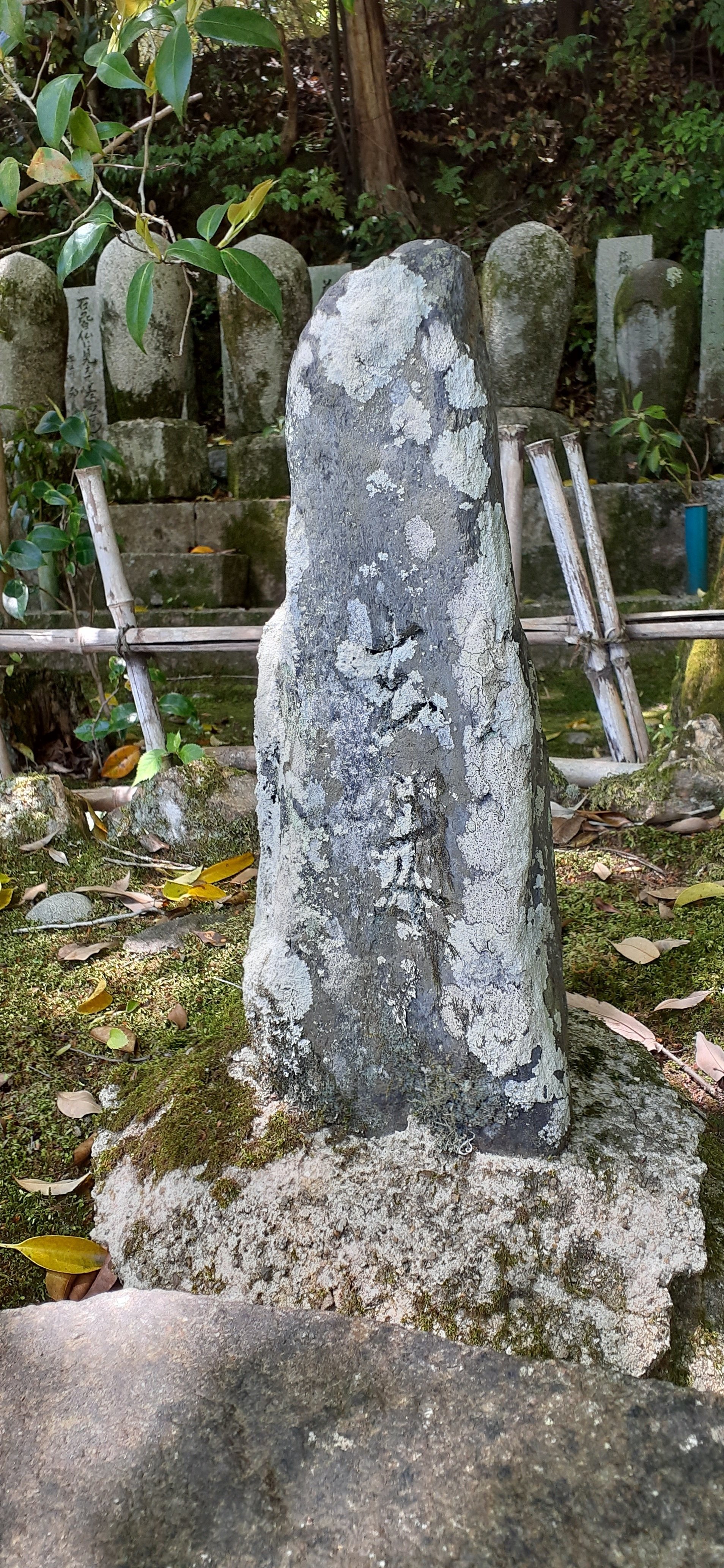 芭蕉ゆかりの嵯峨野落柿舎と自由律俳句の荻原井泉水｜偉人たちの見た