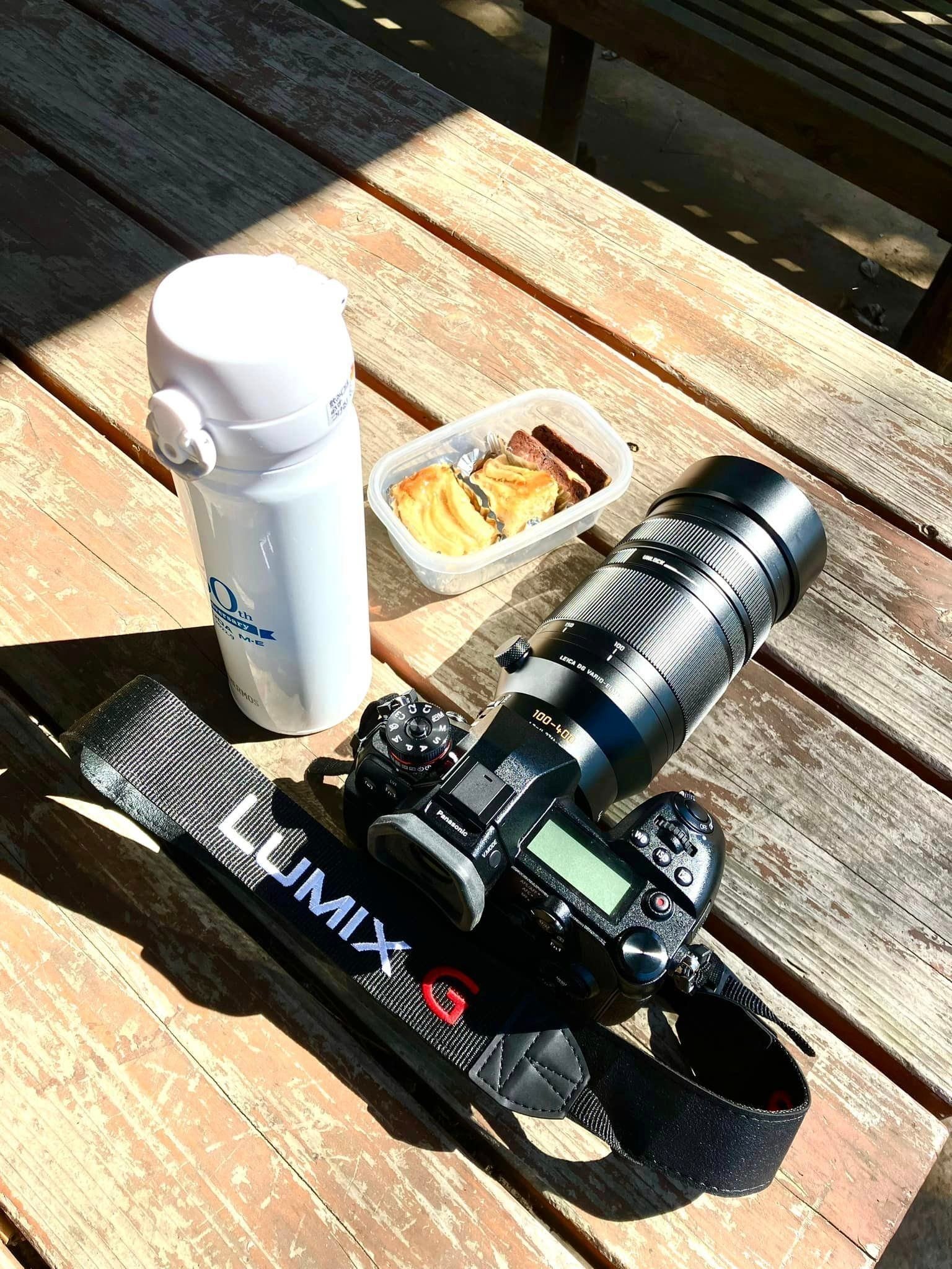 野鳥が好きです!#51「400mmの望遠レンズの世界」｜take 🎸全ての人が