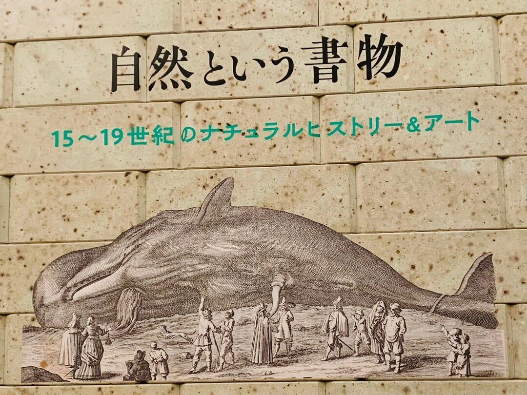 自然とは神が作った第二の書物「自然という書物」展｜櫻木 由紀 Yuki