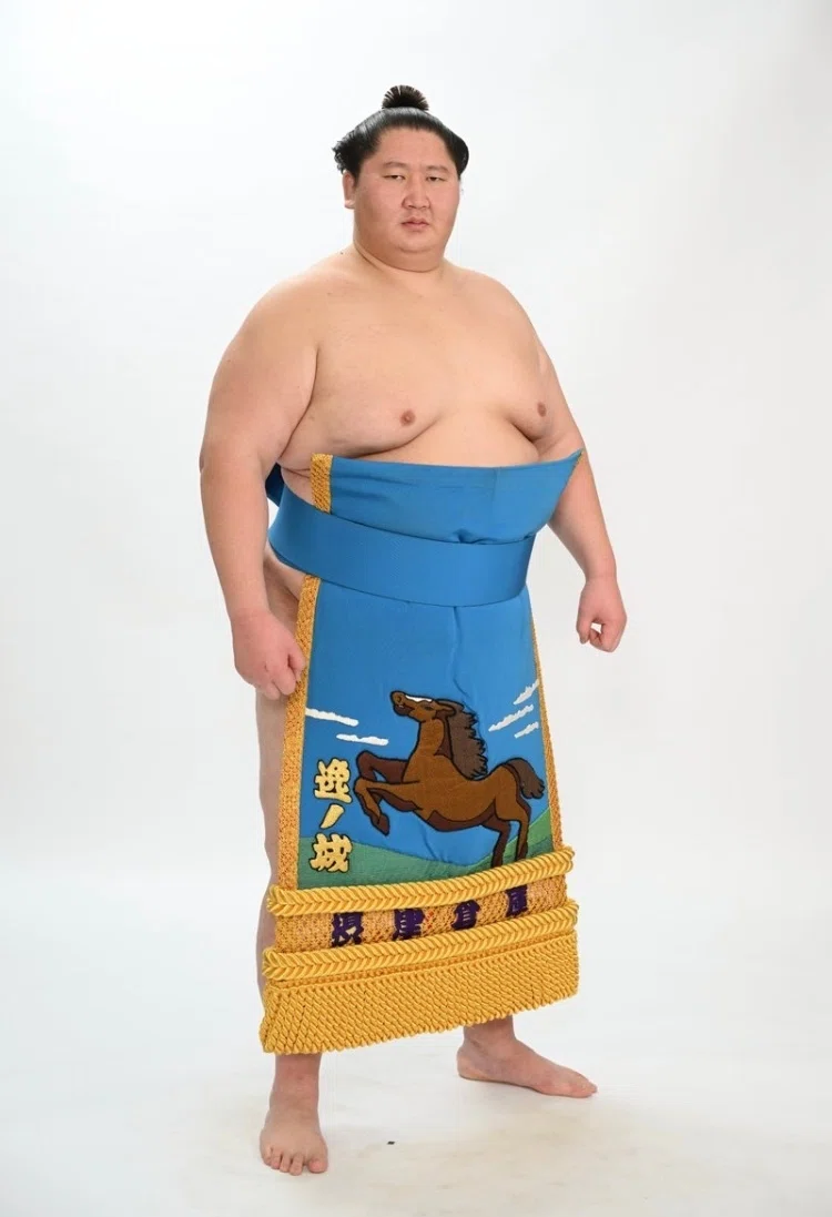 最重量力士・逸ノ城が引退発表｜野猿（やえん）