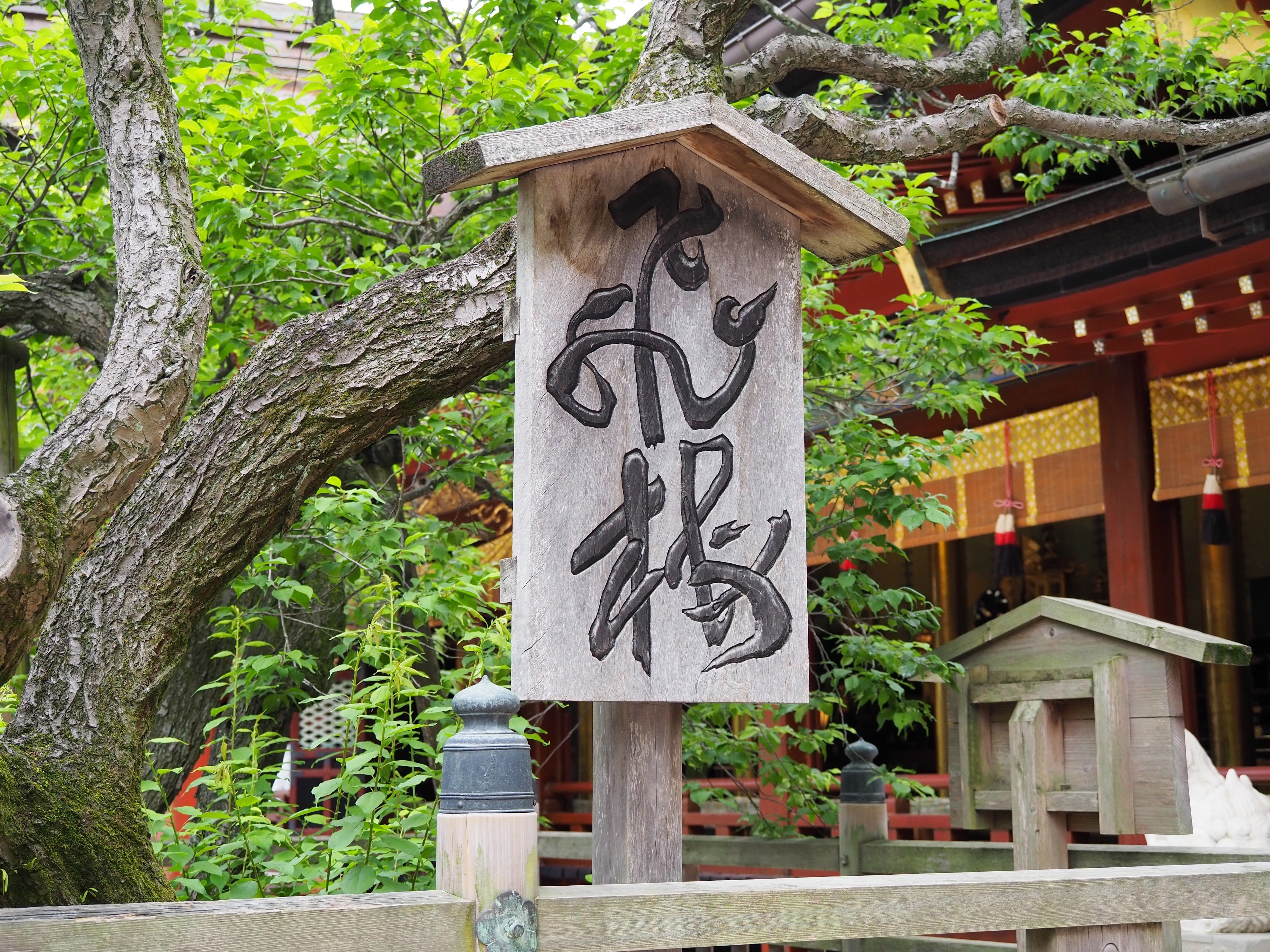 太宰府天満宮散歩（2023年5月4日）｜Akio van der Meer