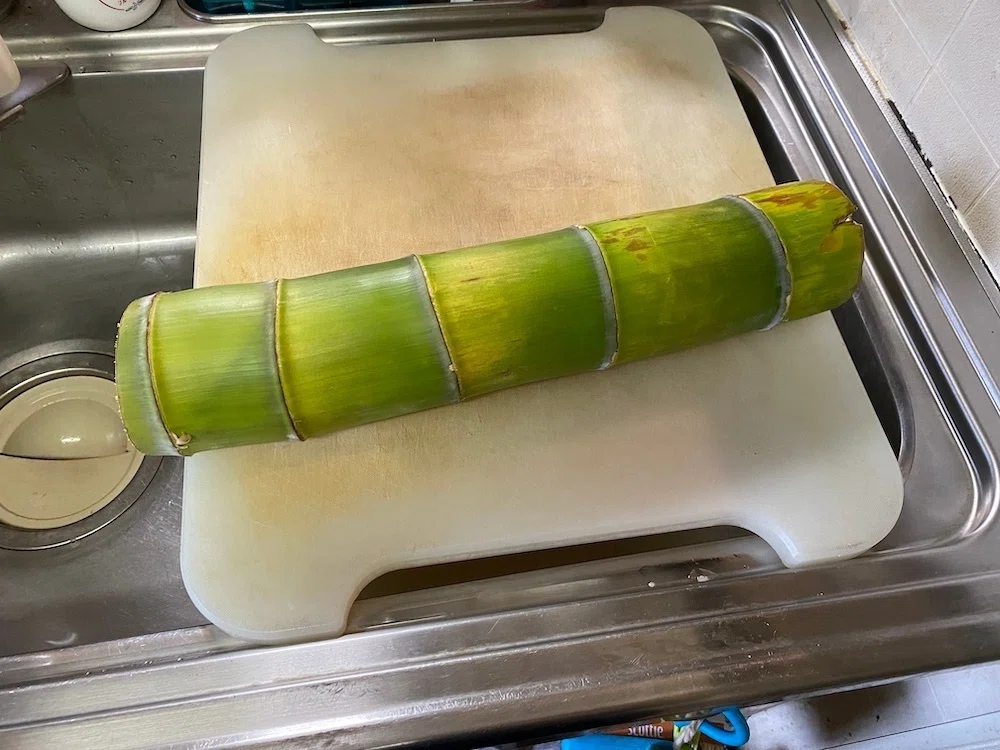 柔らかい竹を煮てメンマもどきをつくる｜神田