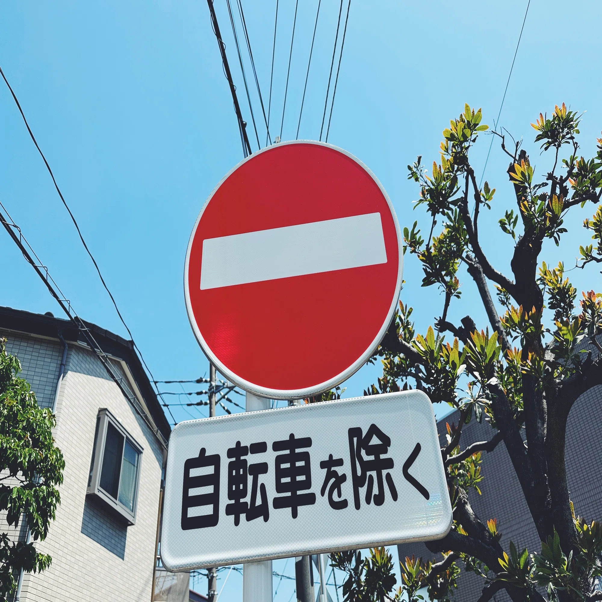 一方通行自転車を除くの標識 #5481｜稲垣純也
