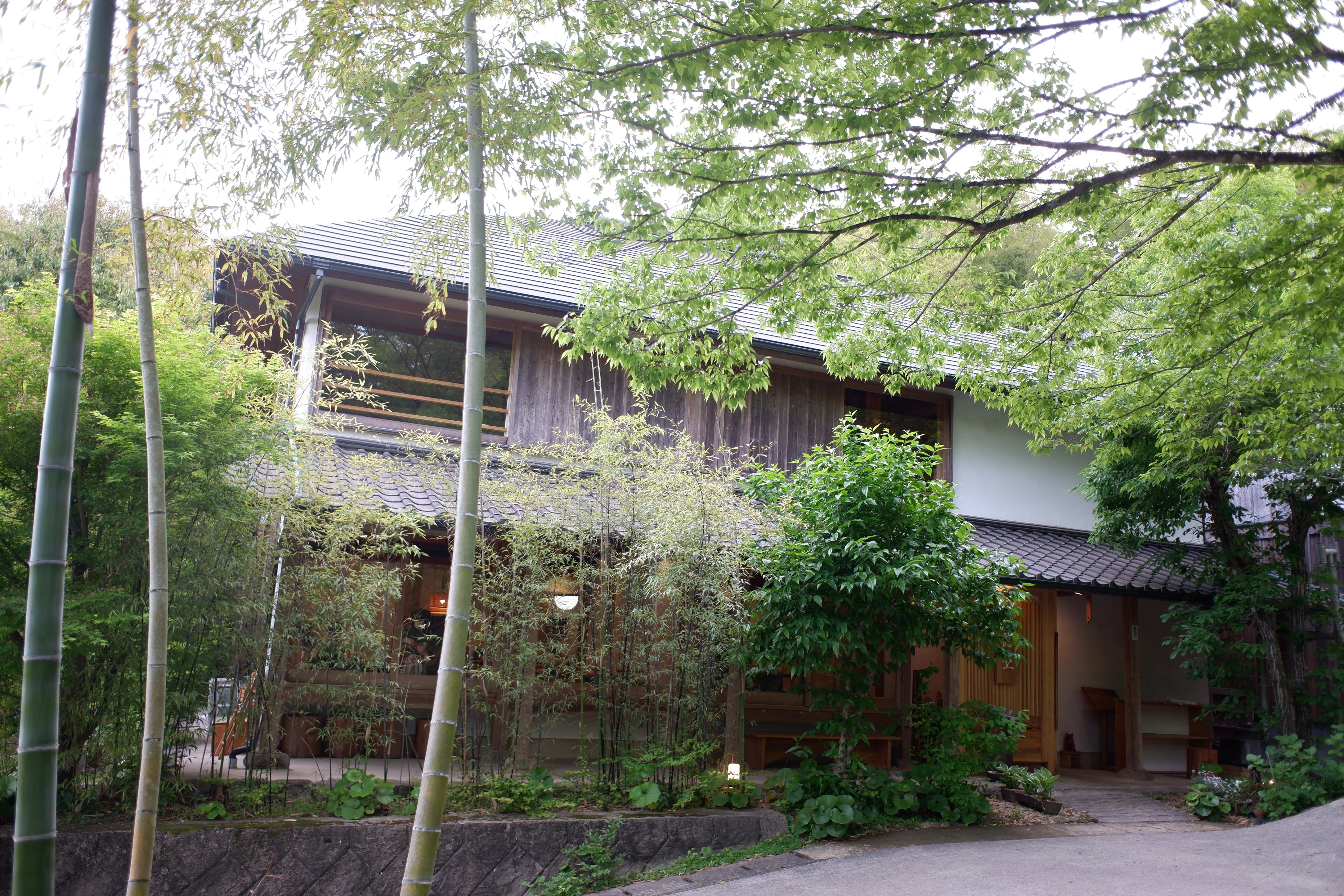 国宝のそばで浸る温泉・富貴寺大堂と蕗の薹（大分県豊後高田市田染蕗