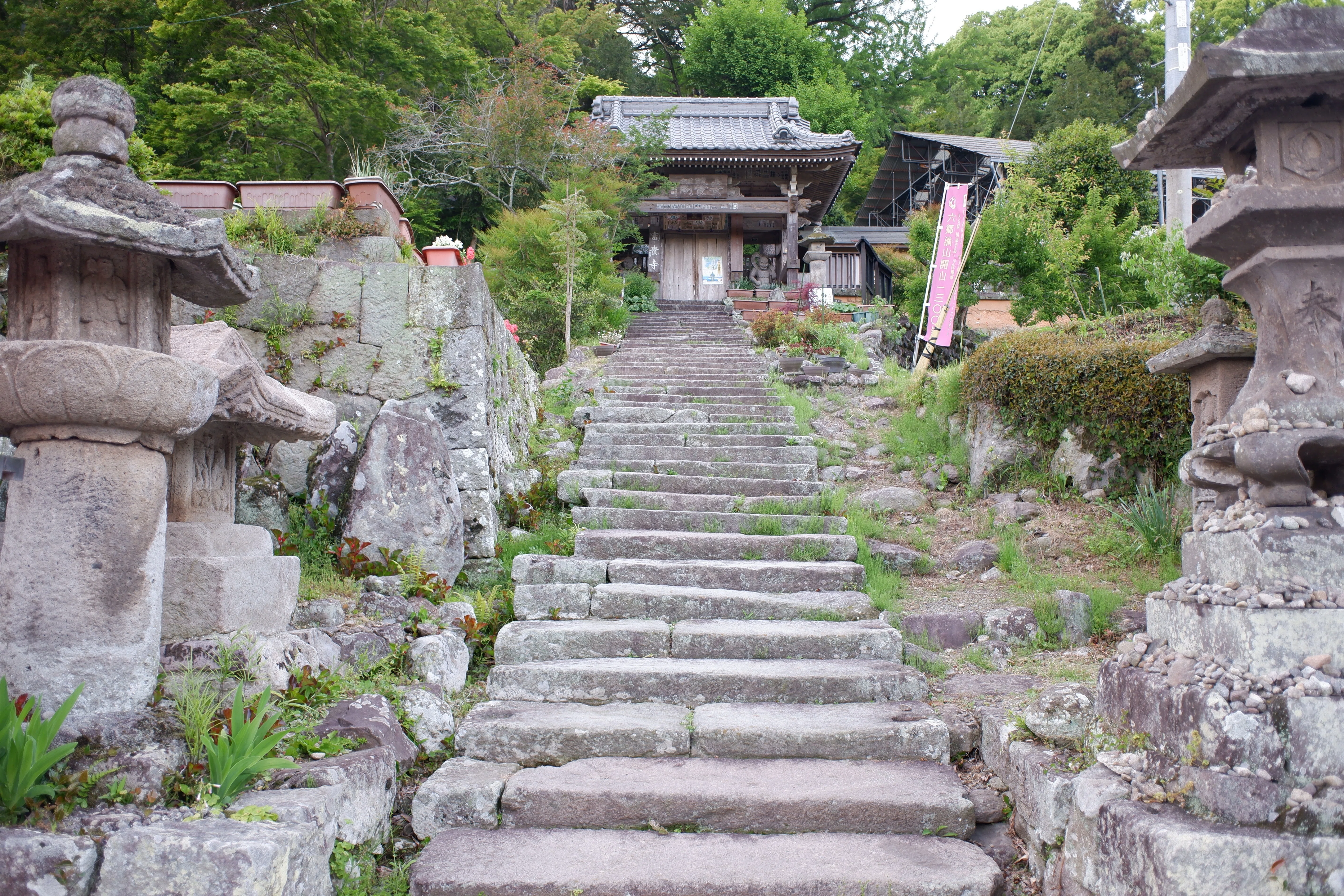 国宝のそばで浸る温泉・富貴寺大堂と蕗の薹（大分県豊後高田市田染蕗