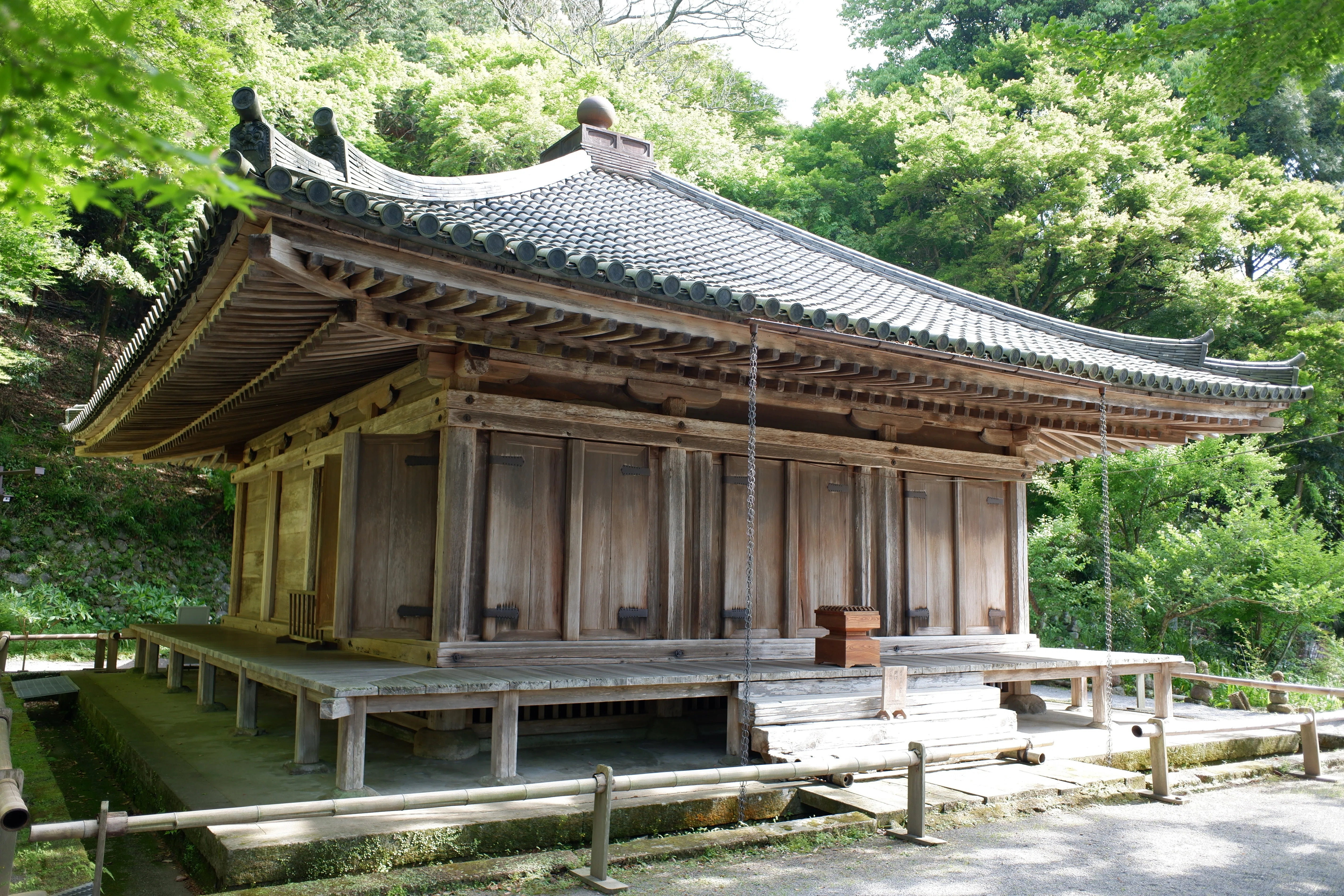国宝のそばで浸る温泉・富貴寺大堂と蕗の薹（大分県豊後高田市田染蕗