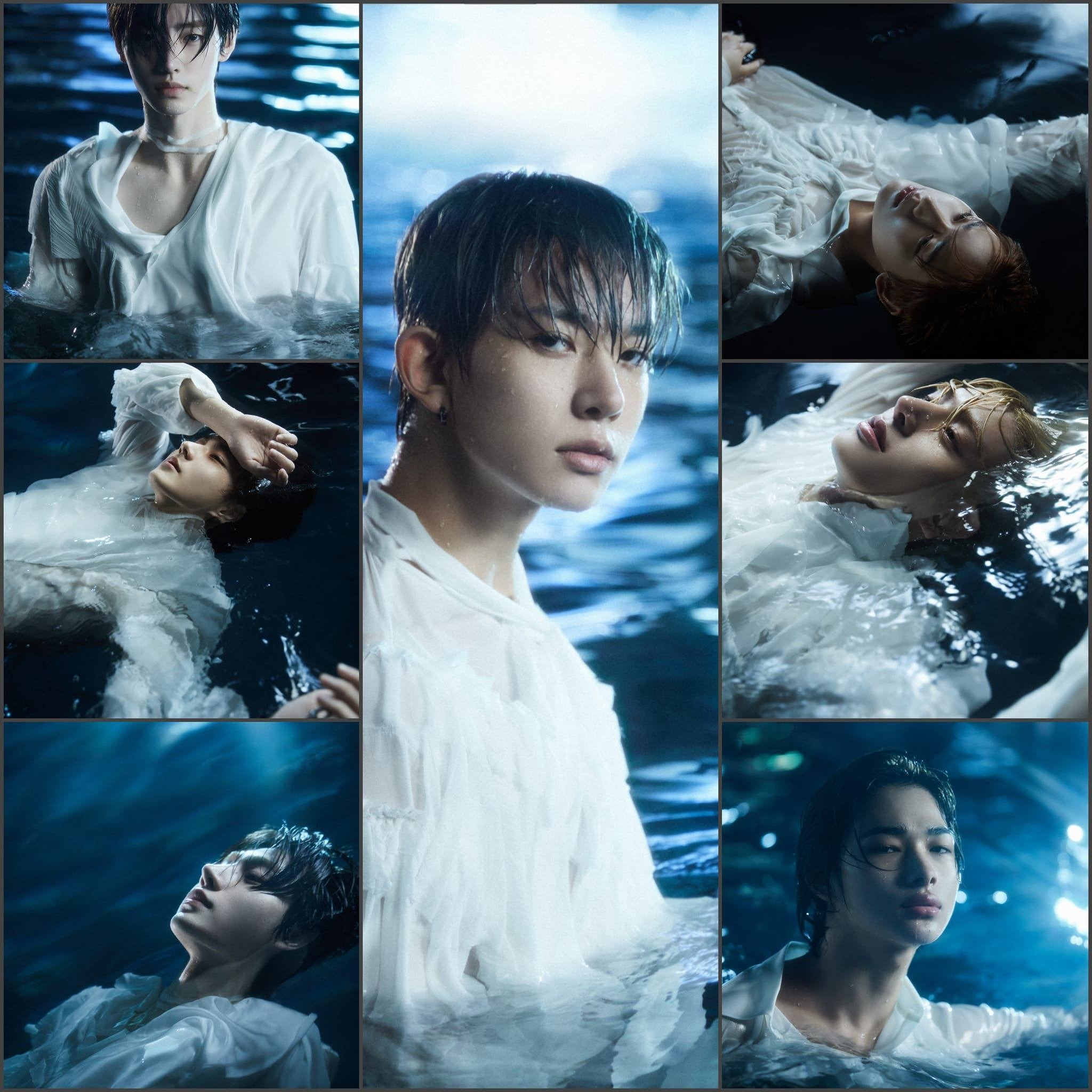 DARK BLOOD (FULL→HALF→NEW)｜KR ENGENE