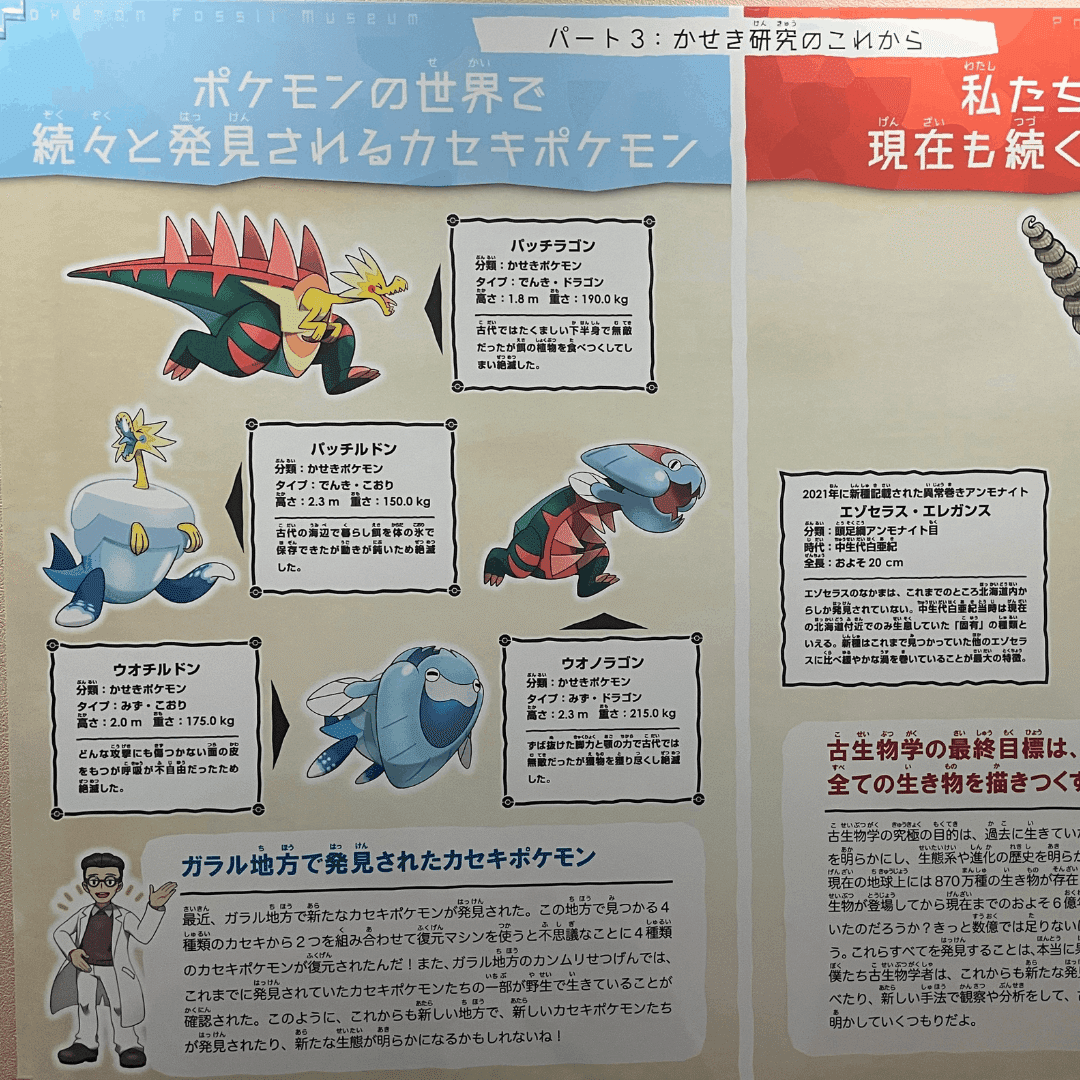 ポケモン化石博物館 特大 大型 ポスター