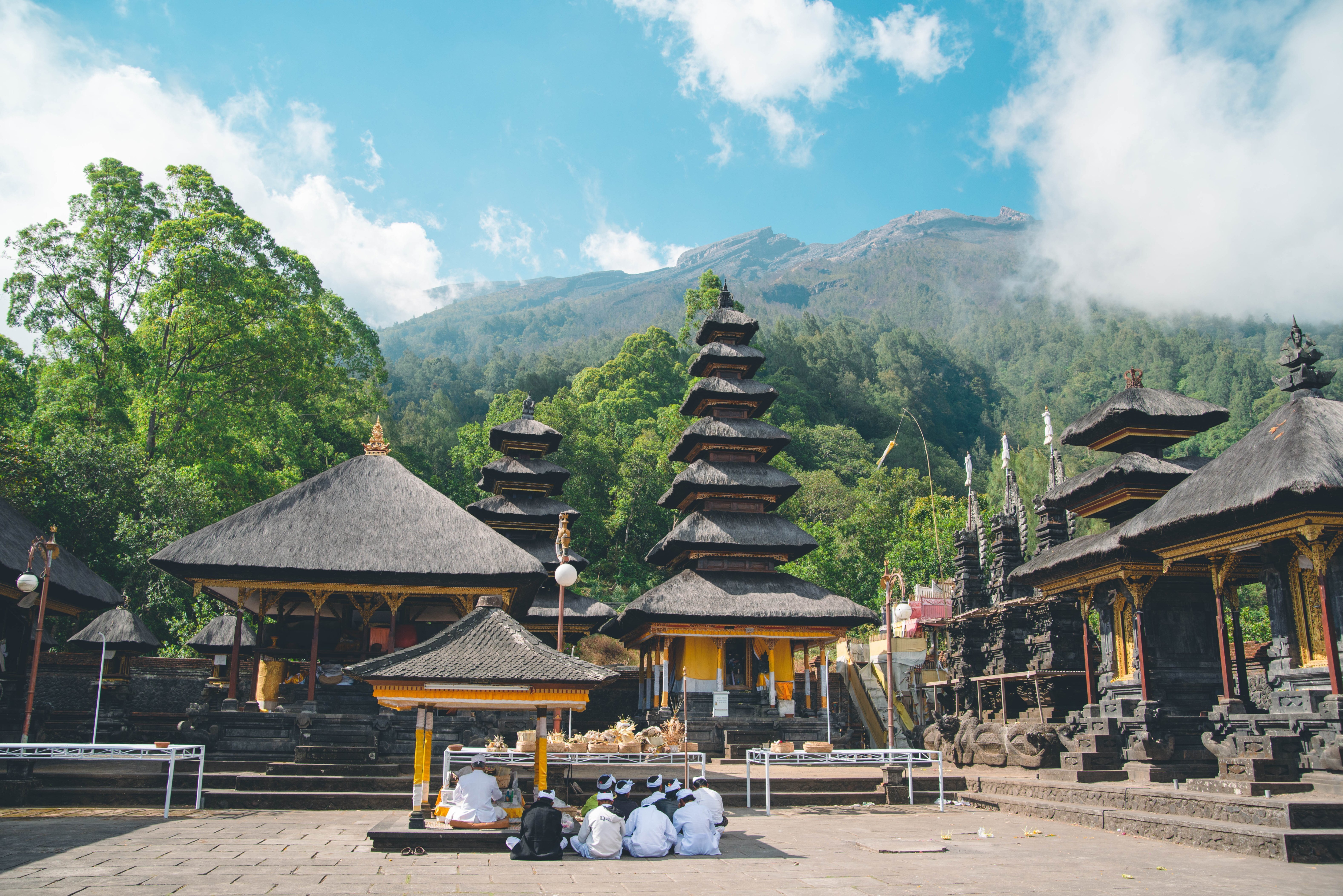 油彩 キャンバス 彫刻額縁 寺院の祭りバリ島 油彩 キャンバス 彫刻額縁 寺院の祭りバリ島 2025年最新】バリ島 絵画