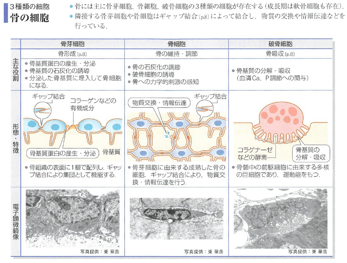整形外科専門医試験2023年第35回問1(復元)|Drひろひろ@整形 整形外科専門医試験2023年第35回問1(復元)|Drひろひろ@整形