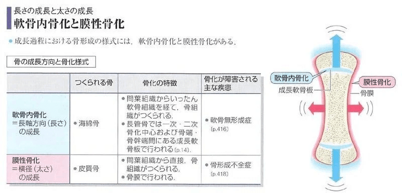 整形外科専門医試験2023年第35回問1（復元）｜Drひろひろ@整形