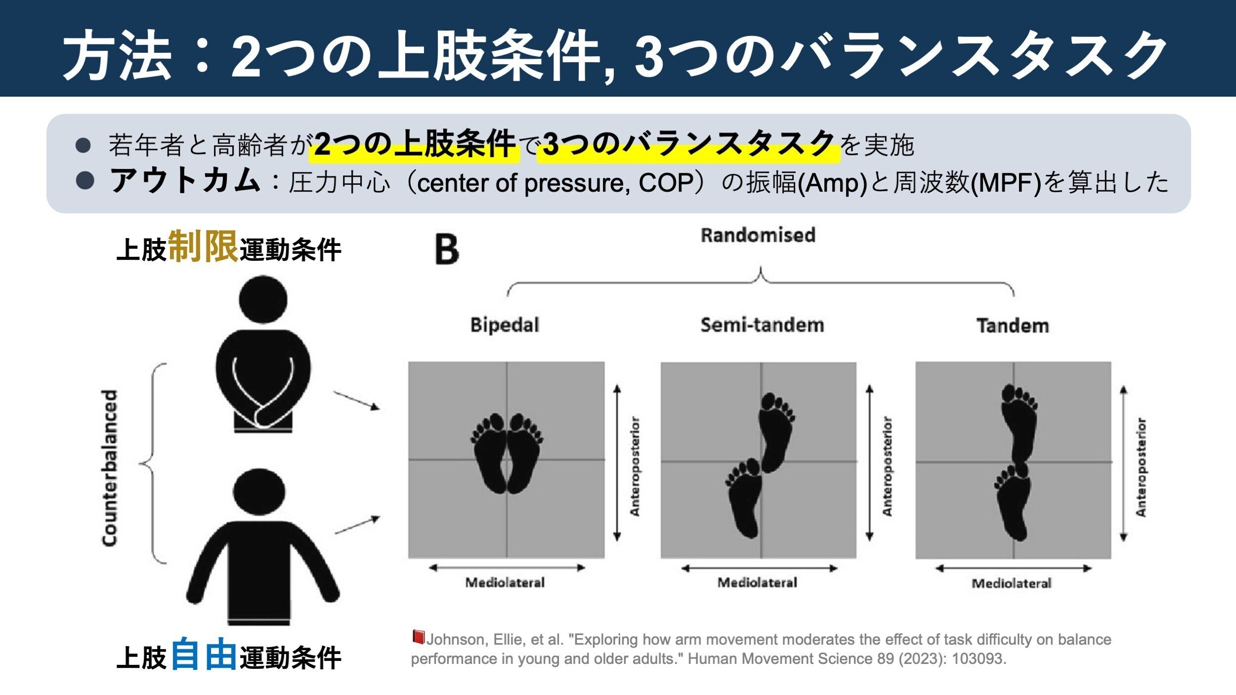 歩行と姿勢バランス 全4巻セット 歩行と姿勢バランス 全4巻セット 歩行と姿勢バランス 全4巻セット 楽天