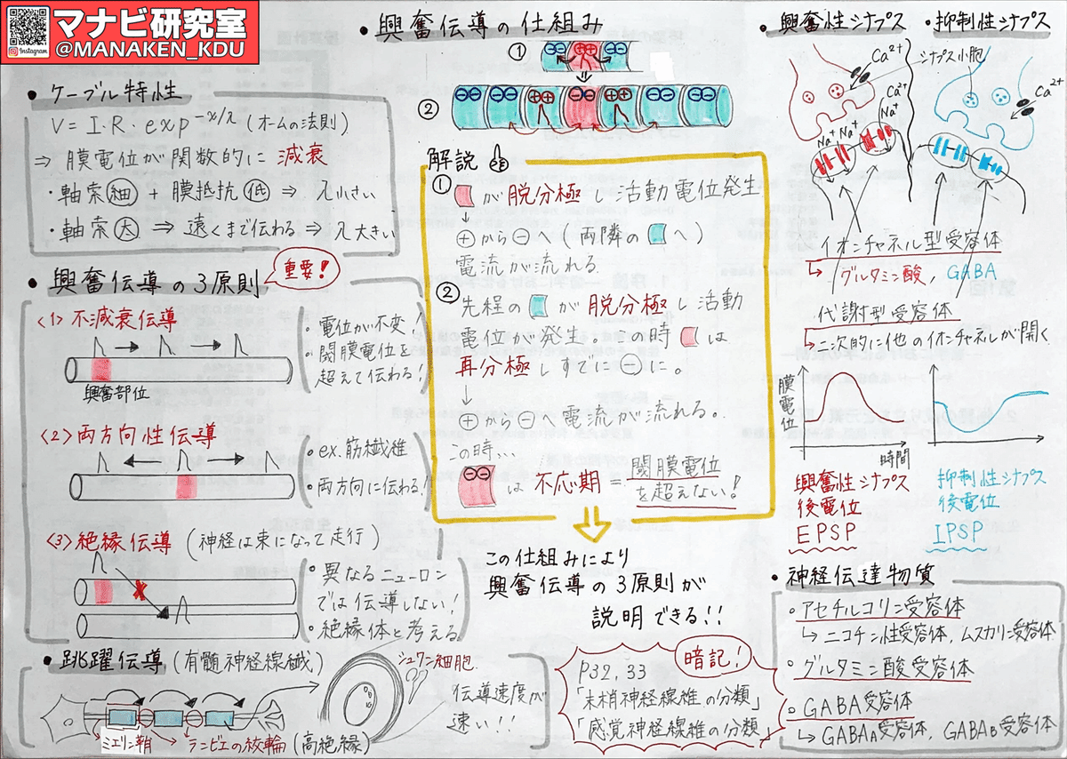 考えを整理する・伝える技術 グラフィックレコード　ビジネス暗記プレゼン勉強 考えを整理する・伝える技術 グラフィックレコード | 渡邉俊博