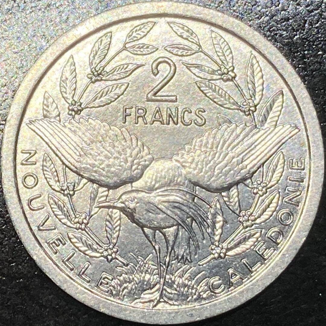 第2508回 鳥のコイン ⑴｜翆野 大地