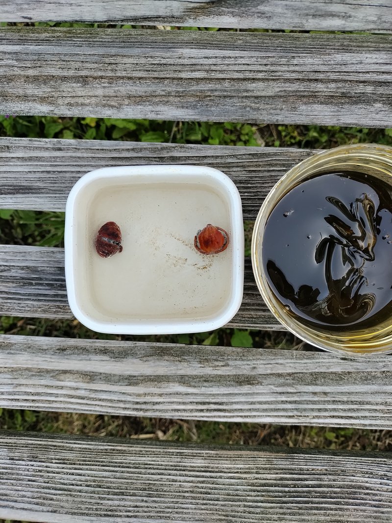 自生の月桃を縄文杉沢水で煮たもの　黒糖水飴