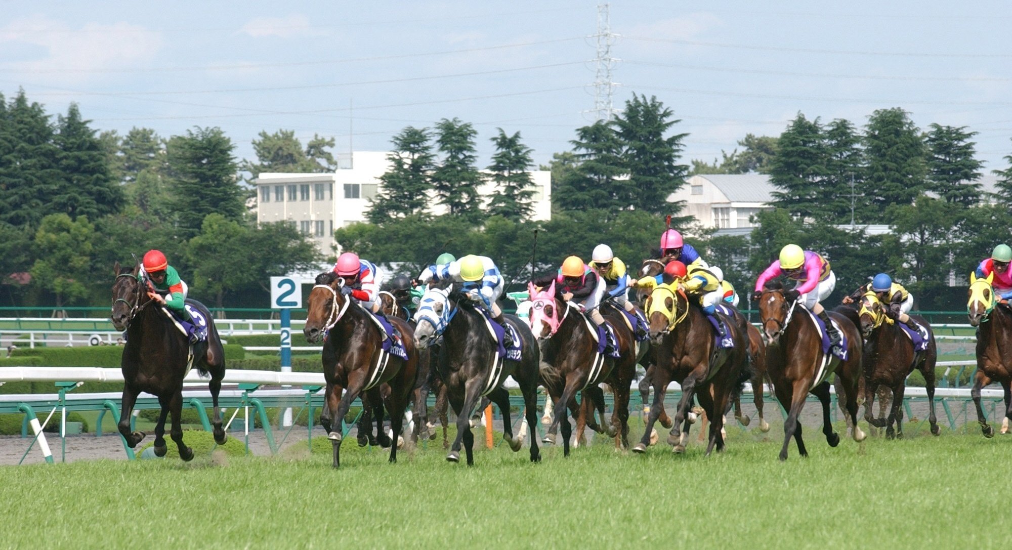 Yahoo!オークション - 【使用済】 競馬クオカード ヒシミラクル