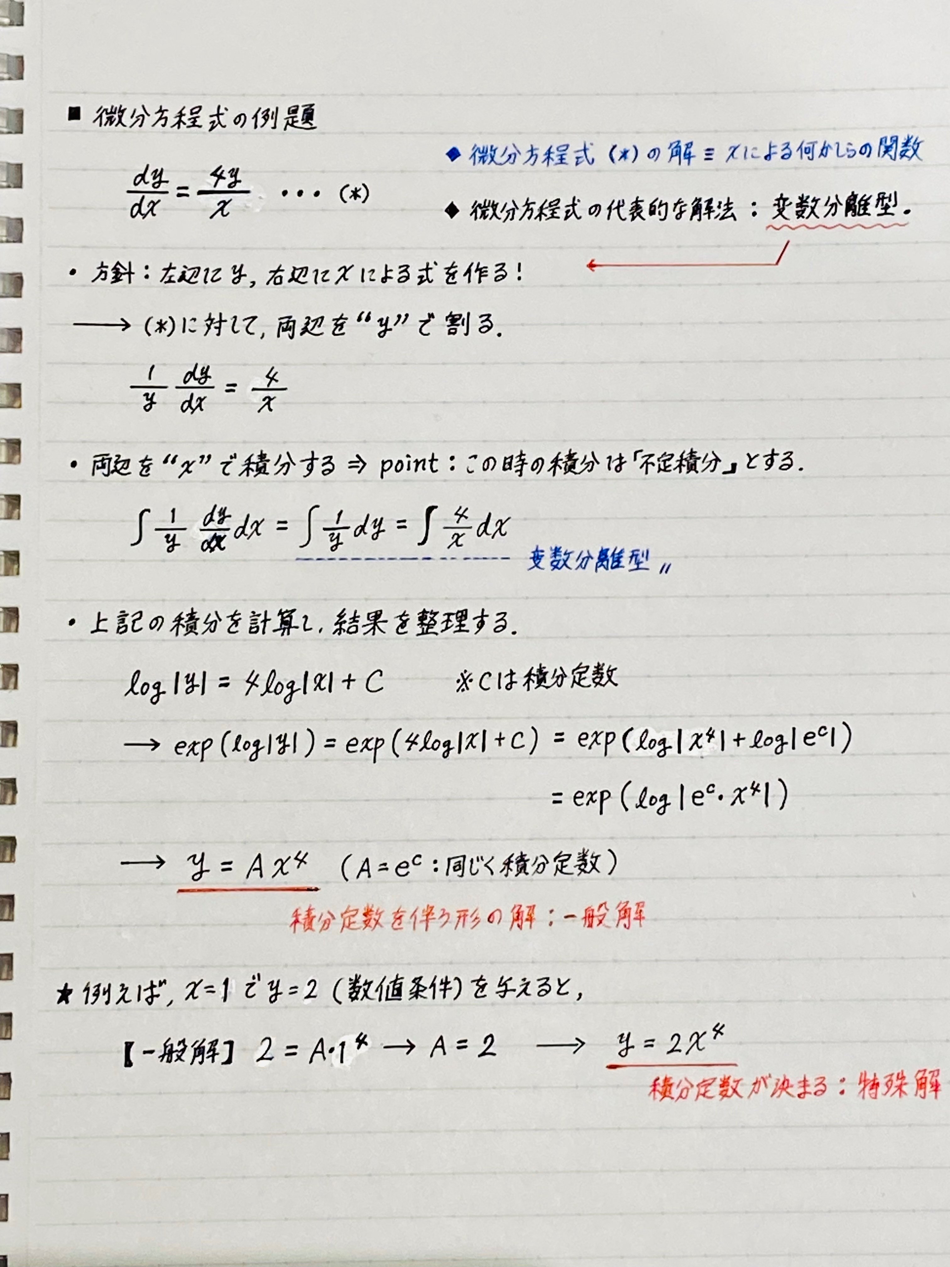 解析学の基礎である微積分の話 -3-｜谷口シン@文理の世界線を自由奔放