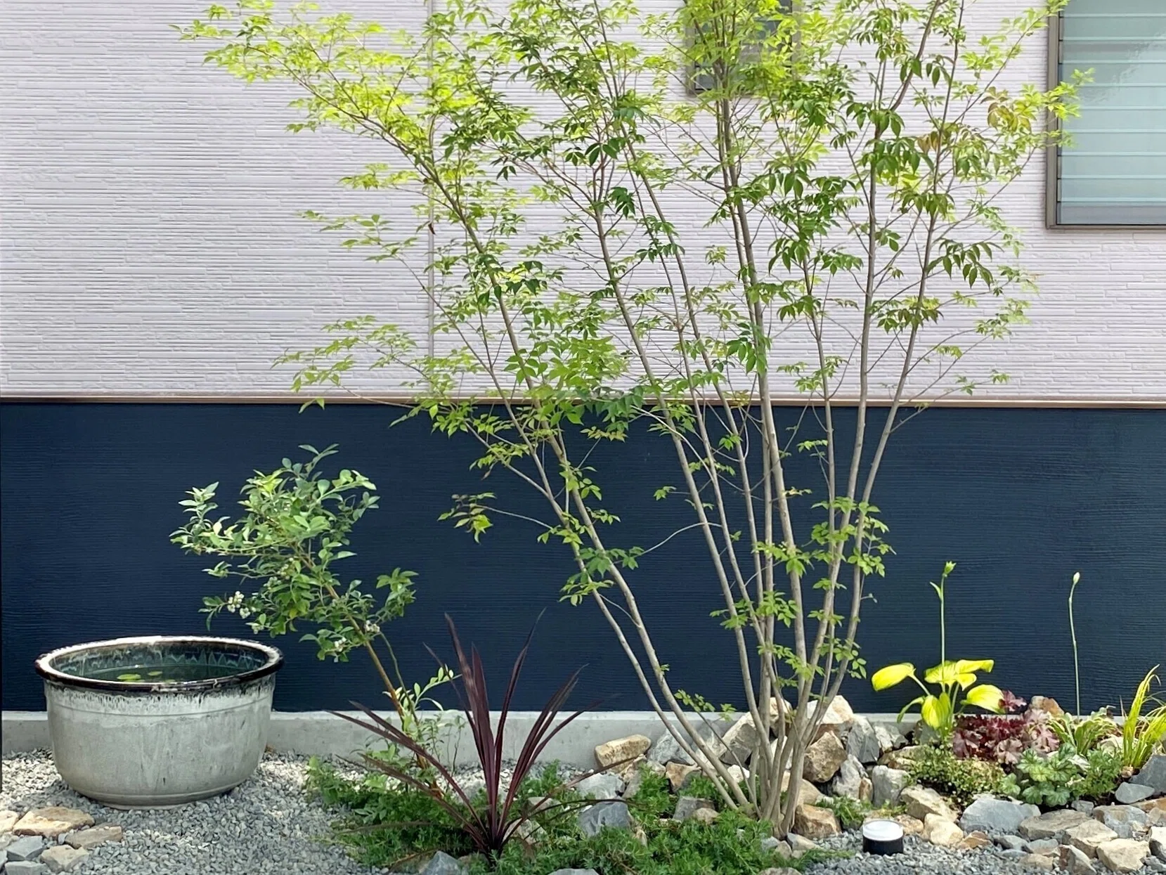 睡蓮鉢と暮らす。3年目のメダカ庭。｜ネジトラ