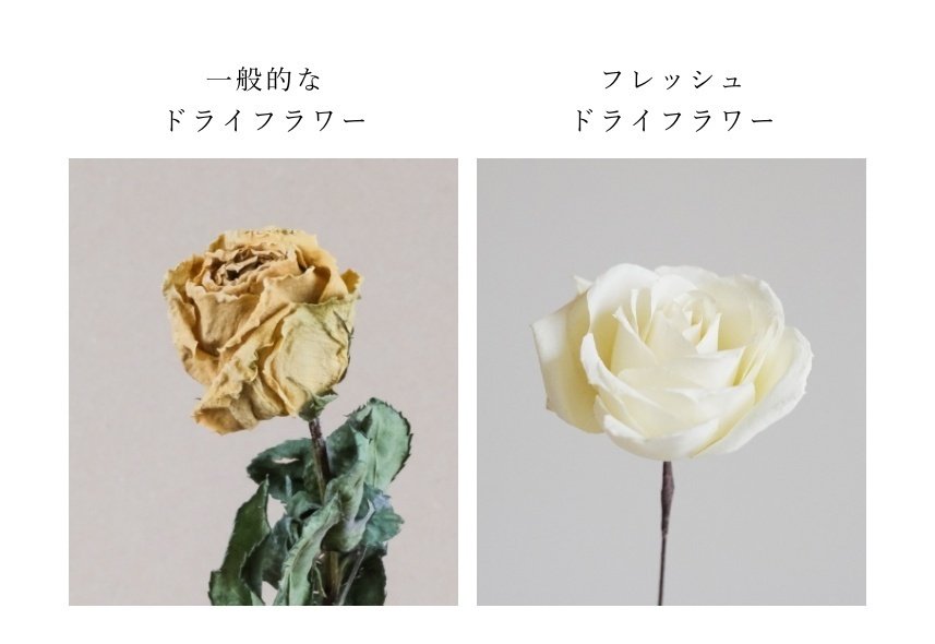 カナックスフレッシュドライフラワー製法|【公式】アフター カナックスフレッシュドライフラワー製法|【公式】アフター
