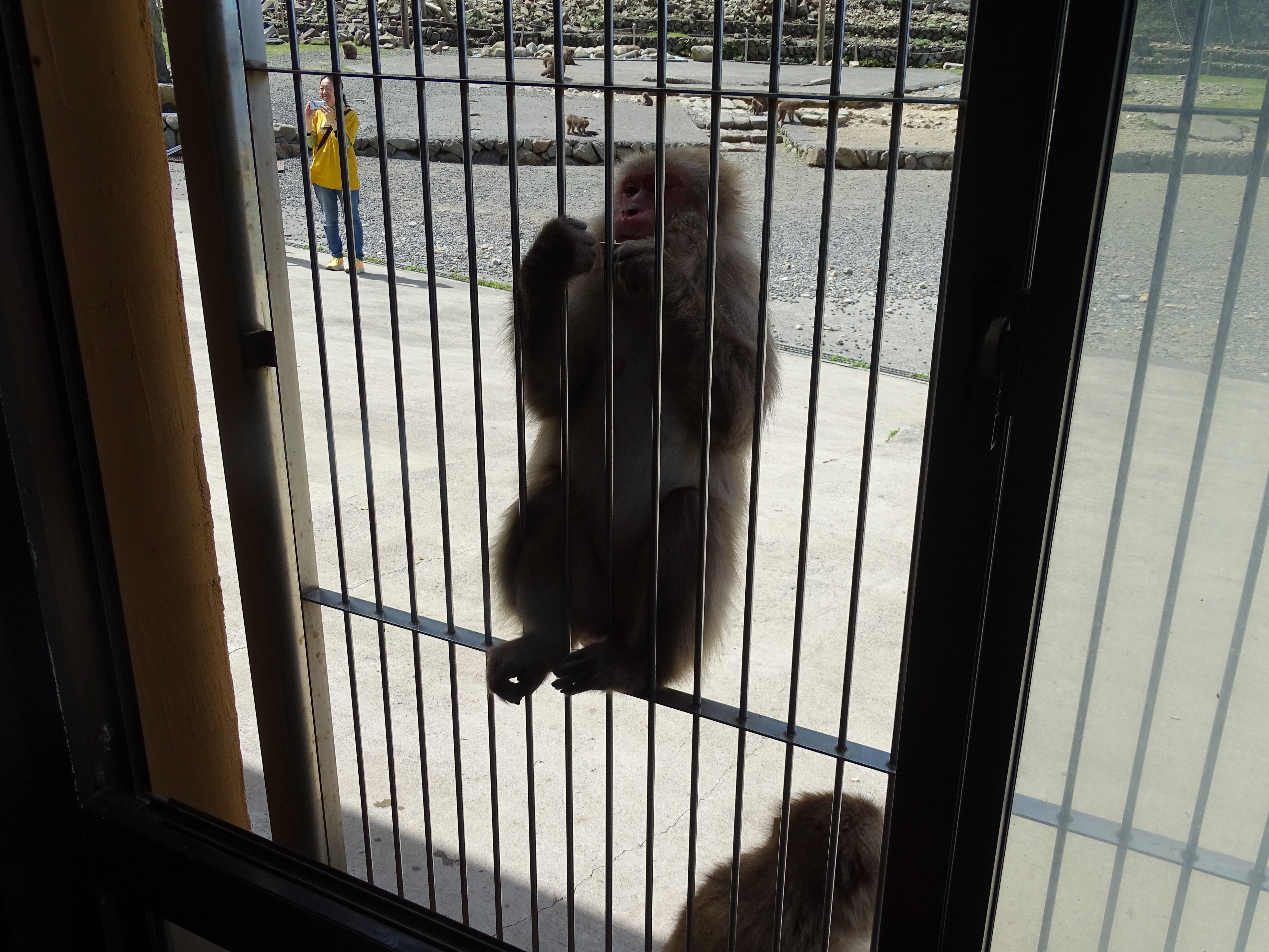 ZASO:158】静岡県 #波勝崎モンキーベイ｜ZASOちゃんねる